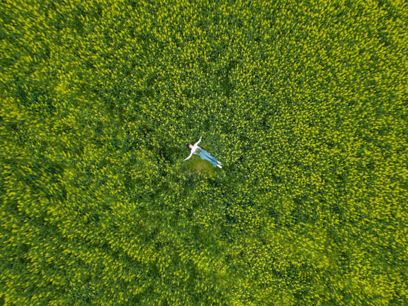 Drone shot of a person in white long sleeves and blue pants lying in a green field with yellow flowers. - mindfulness for fresh start