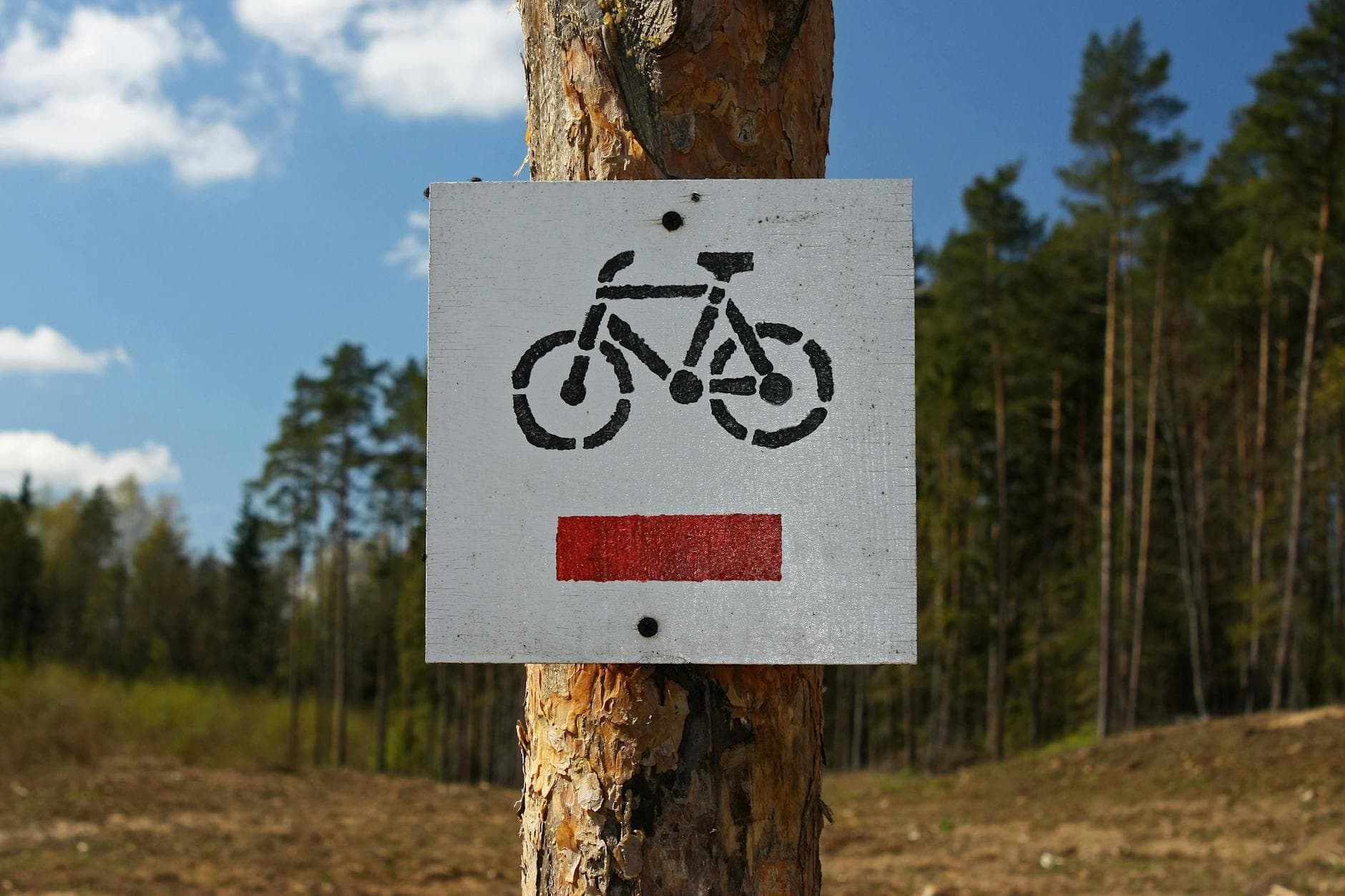 Bicycle trail marker on a tree in a scenic forest in Poland. - spring cycling routes