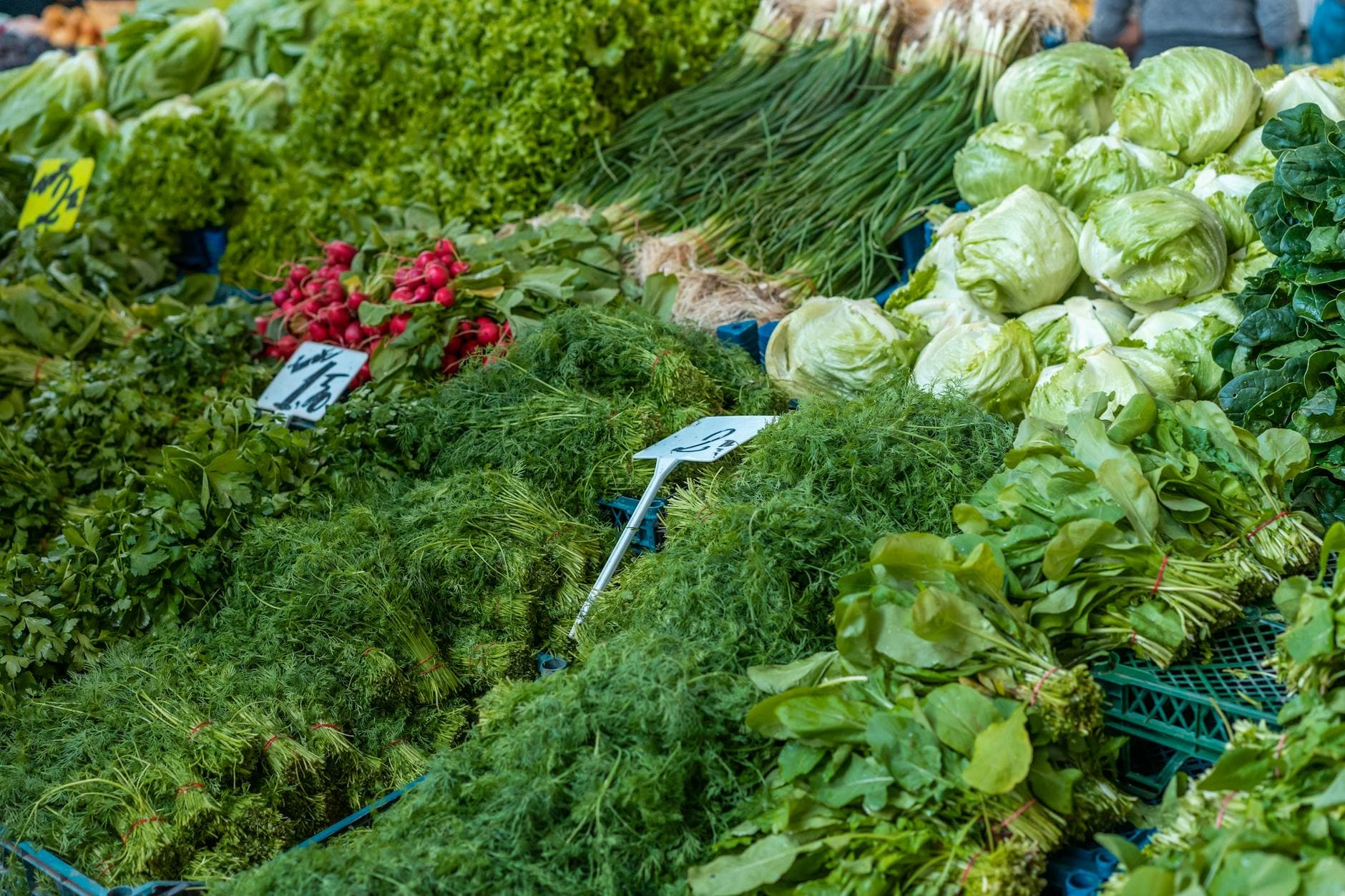 Vibrant display of fresh vegetables and herbs like lettuce, radishes, and dill at a local market. - spring produce guide