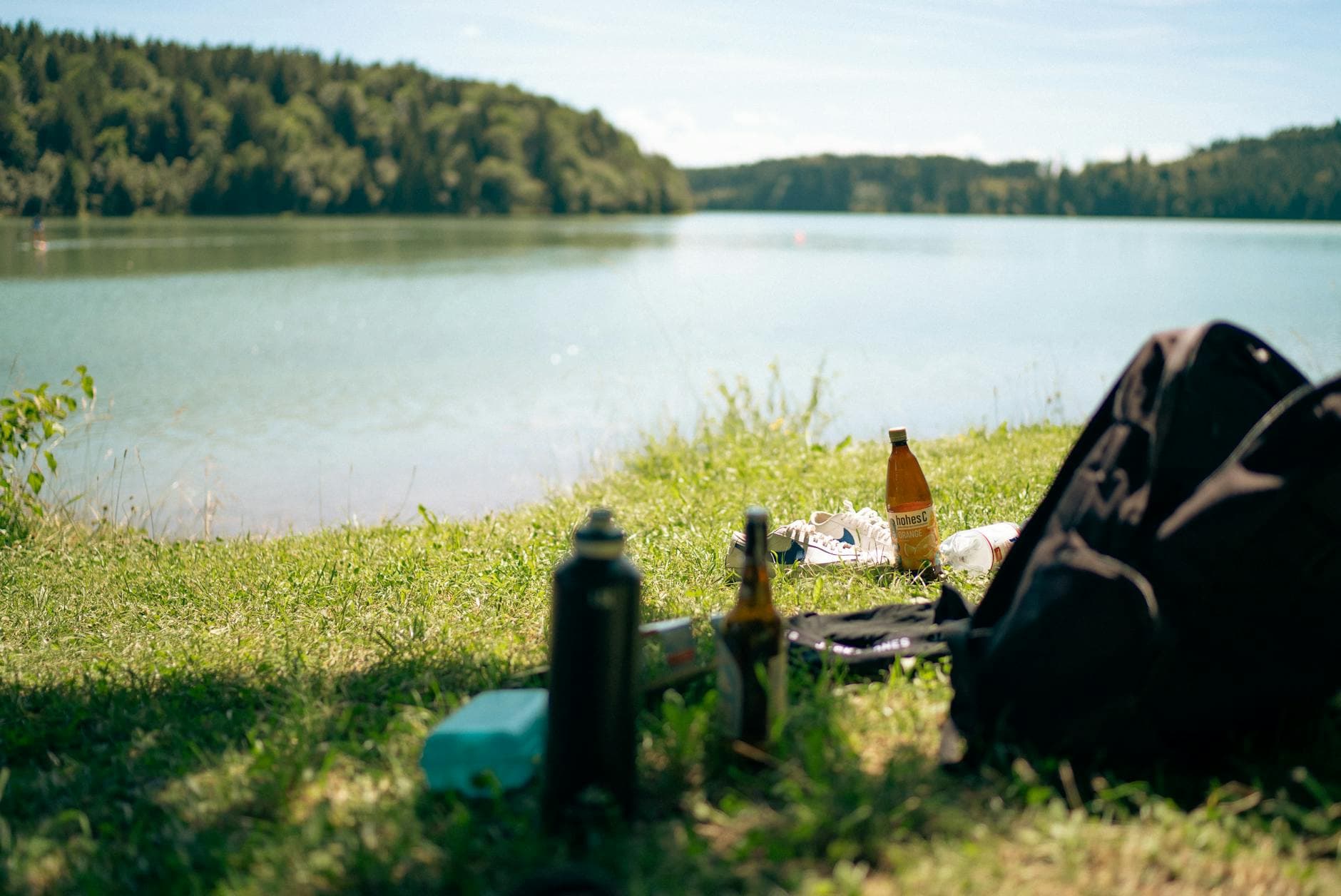 Enjoy a summer picnic by a tranquil German lake surrounded by lush greenery. - hiking nutrition tips