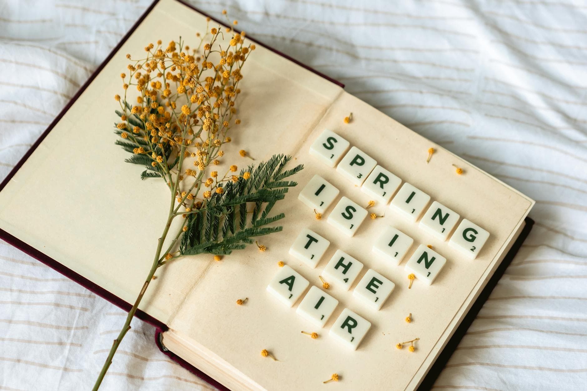 Open book with 'Spring is in the Air' using letter tiles and sprig of yellow flowers. - spring self care