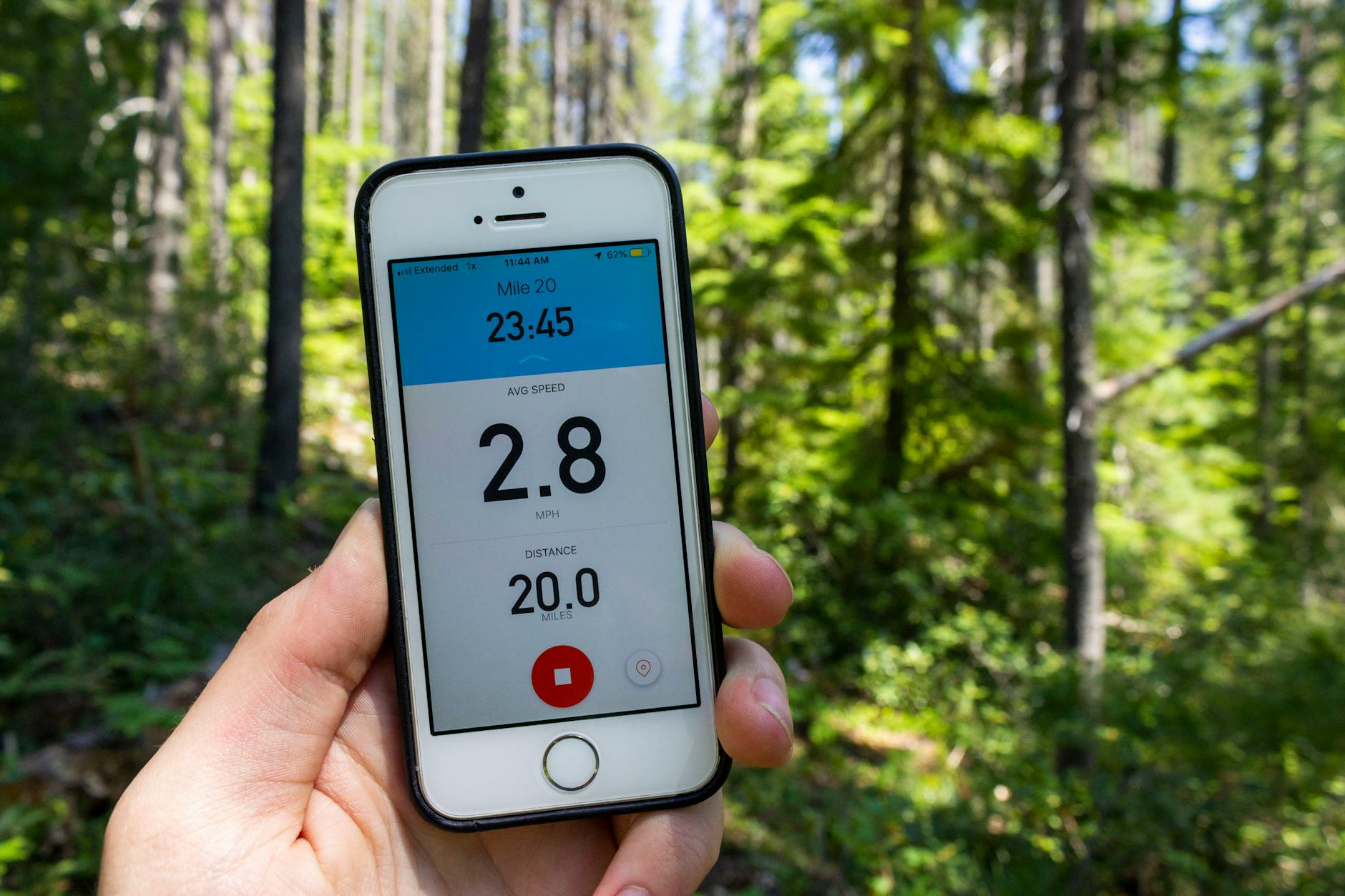 Smartphone displaying tracking app in lush forest setting, highlighting technology in nature. - best walking app