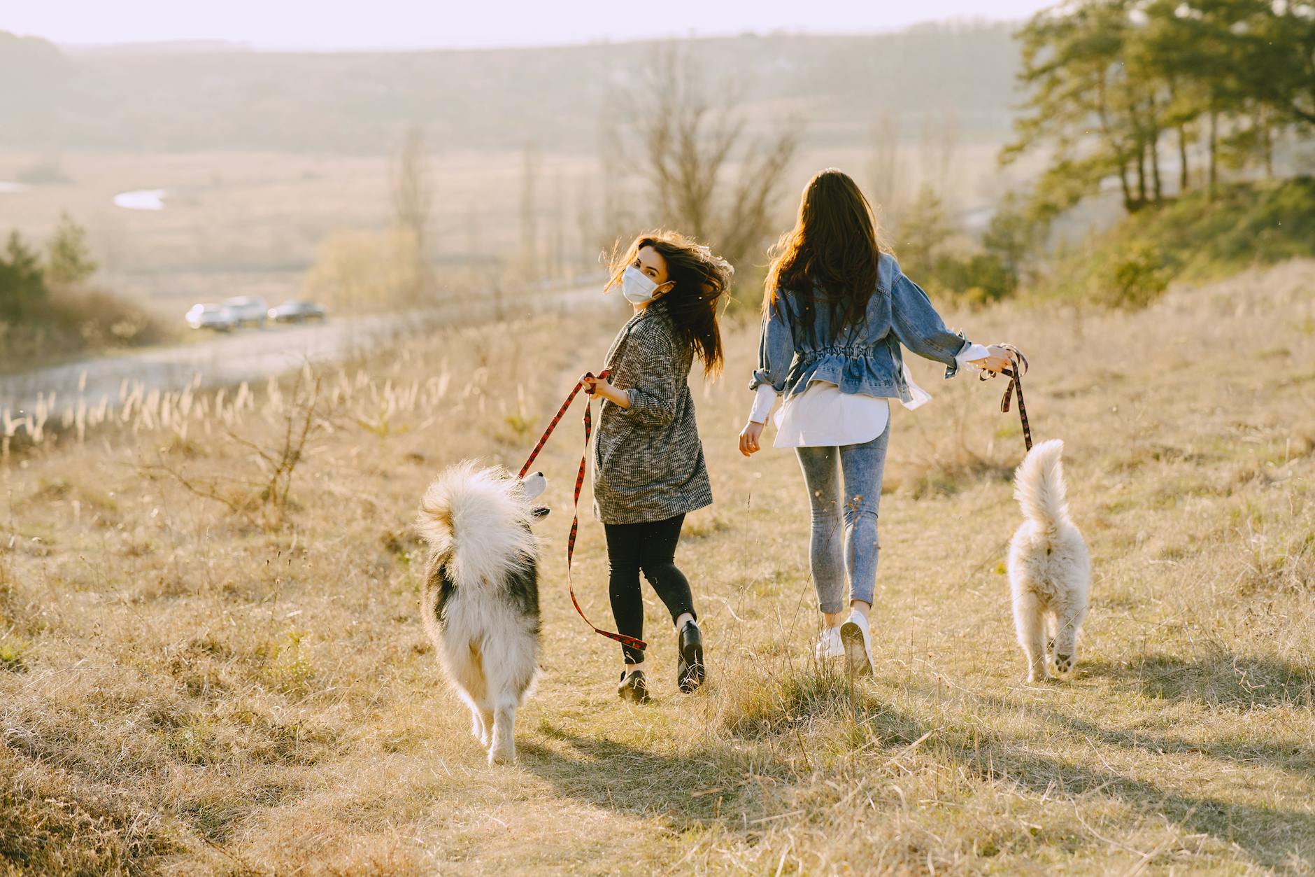 Two women walking dogs on a sunny day in a picturesque countryside setting. - best back exercises