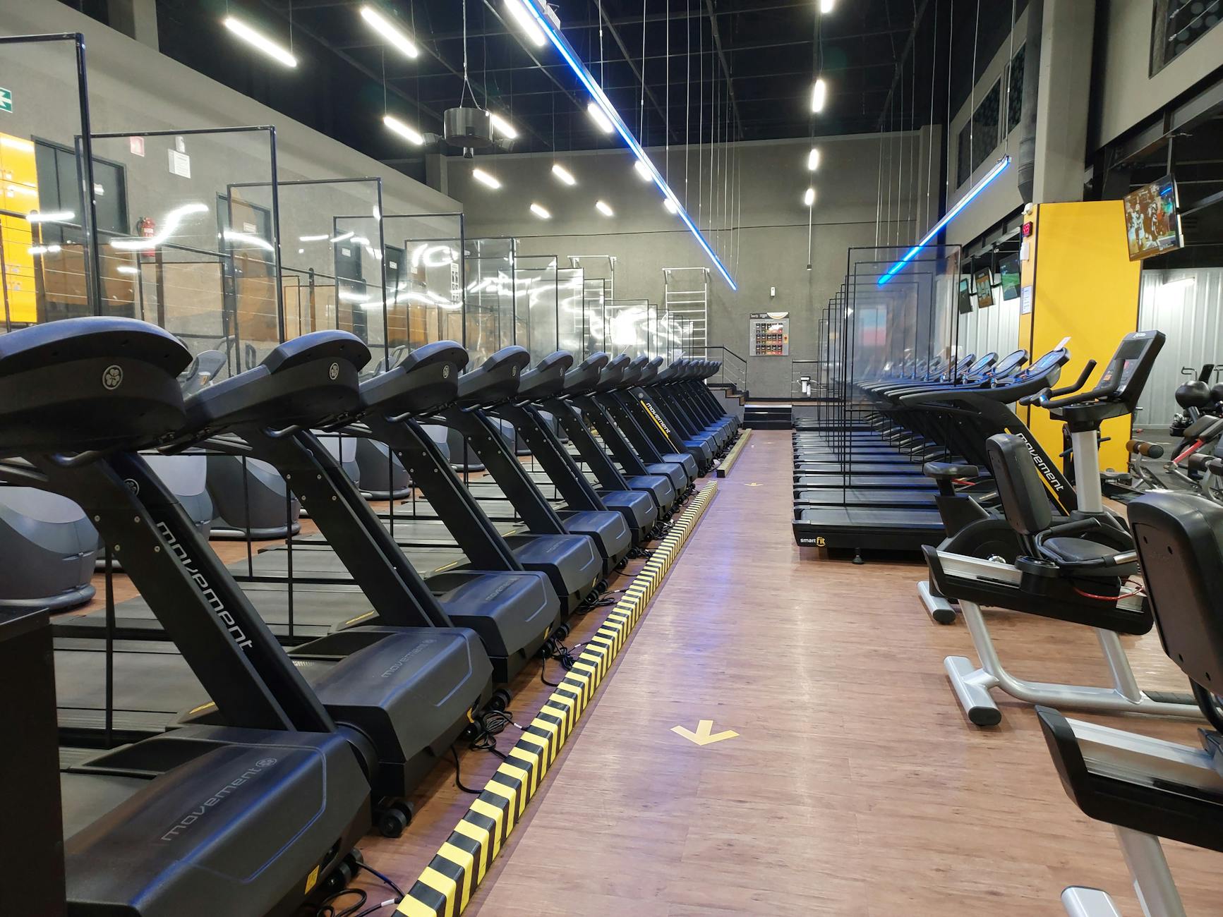 Row of treadmills and exercise machines in a well-lit modern gym setting. - best treadmill for home
