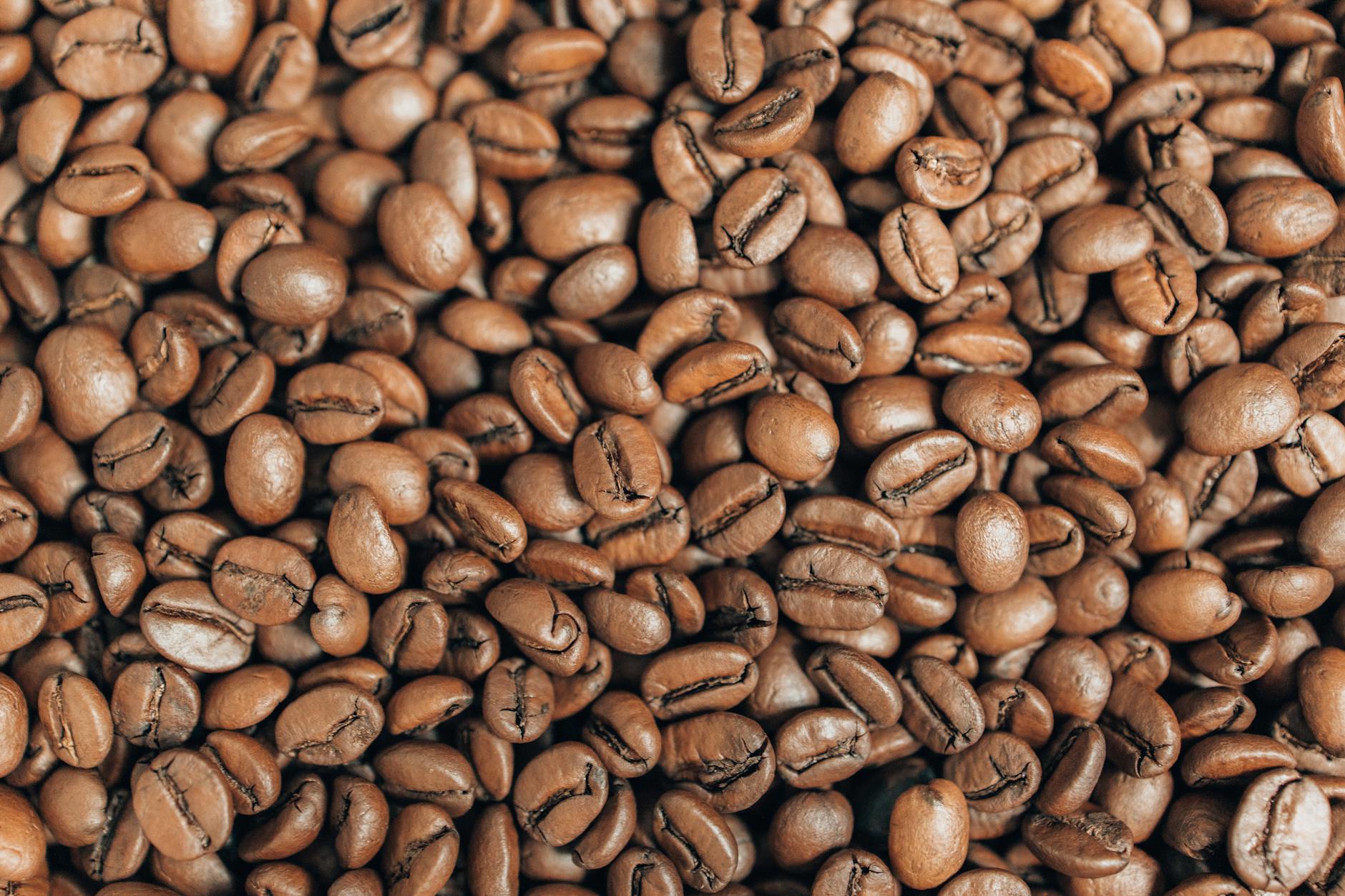 High-quality close-up image of roasted coffee beans showcasing texture and rich brown color. - boost energy naturally