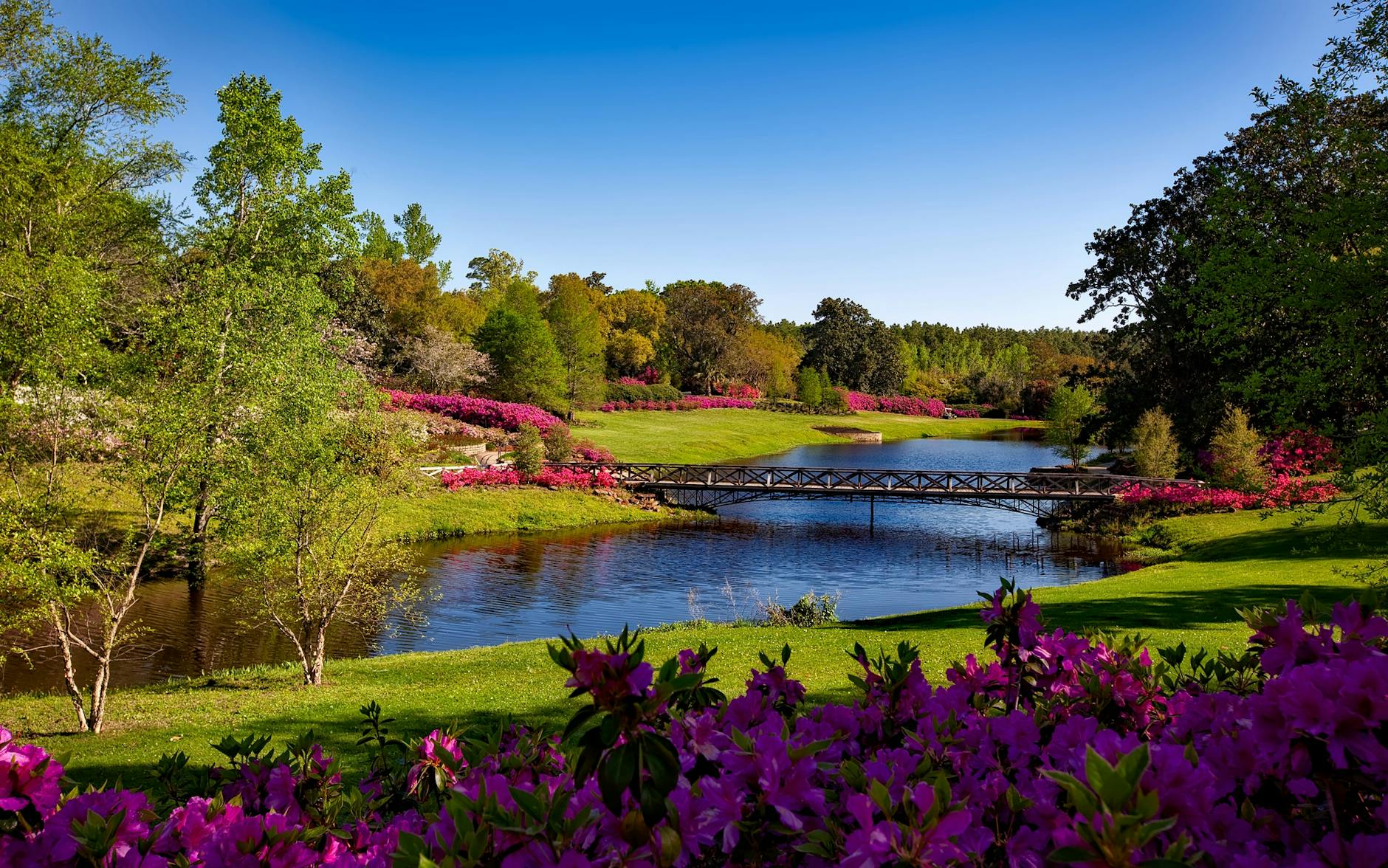 A beautiful spring garden landscape featuring vibrant pink flowers, a serene river, and a picturesque bridge. - gardening for exercise