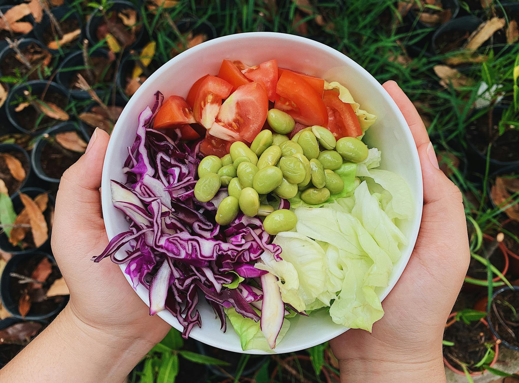 A vibrant bowl of fresh garden salad featuring tomatoes, edamame, and cabbage. Perfect for healthy dining. - healthy diet plan