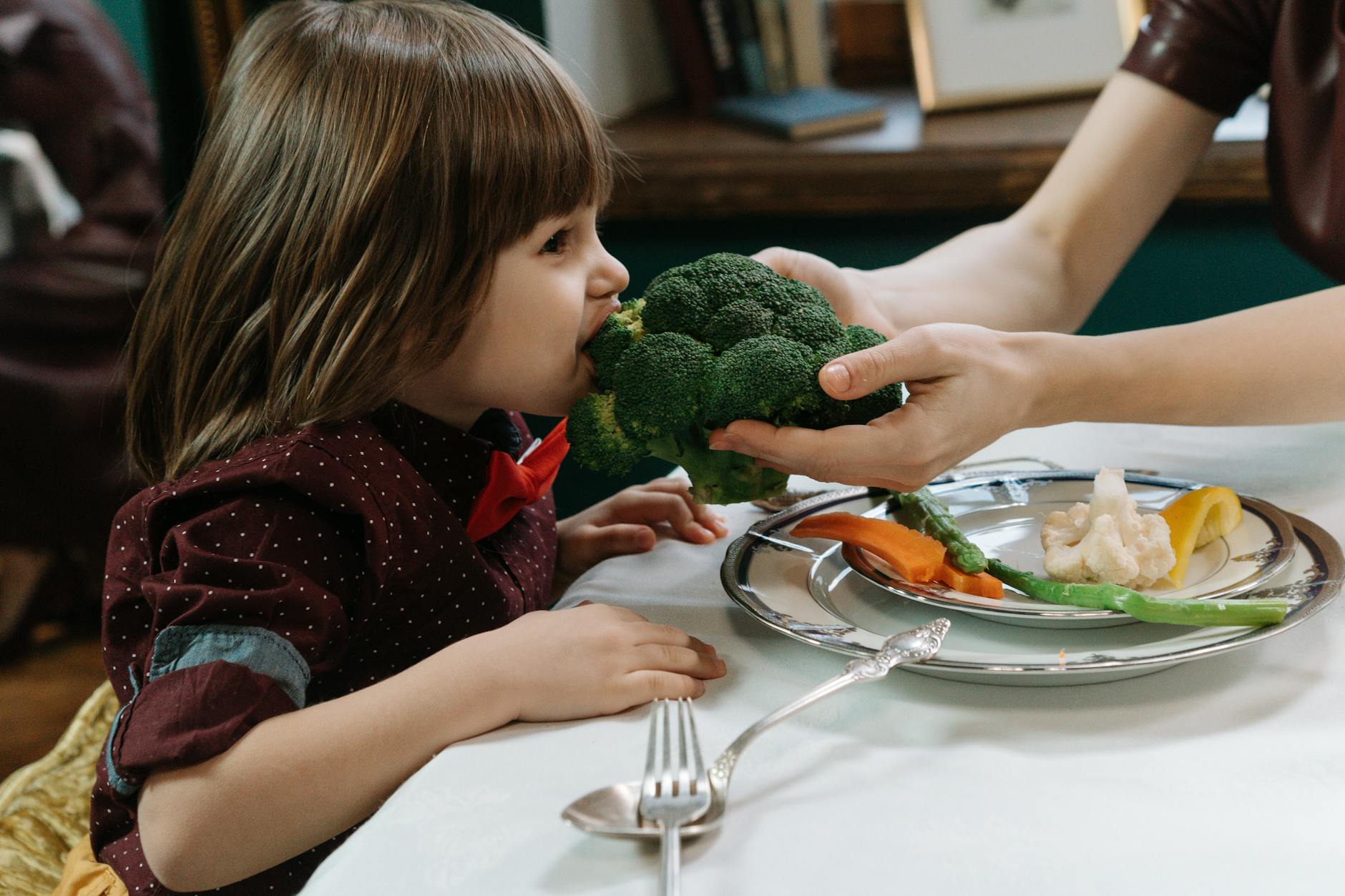 Cute child eating broccoli, promoting healthy eating habits indoors. - healthy kids lunches