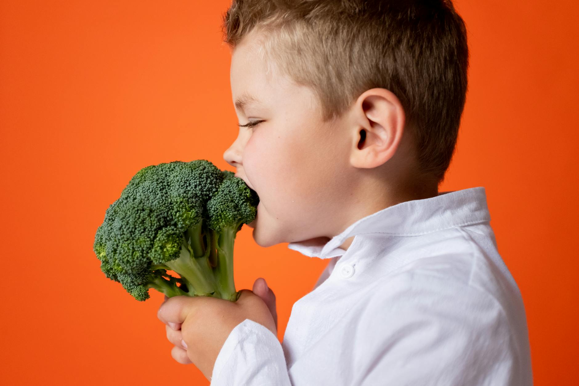 A young child biting into fresh broccoli against an orange background. - healthy snacks for kids