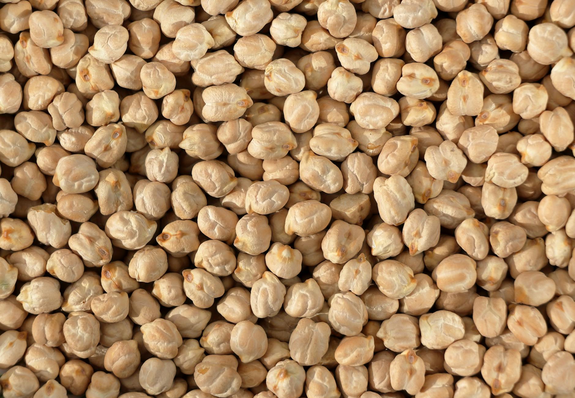 High-resolution close-up of dried chickpeas, ideal for illustrating culinary or nutritional themes. - high fiber foods