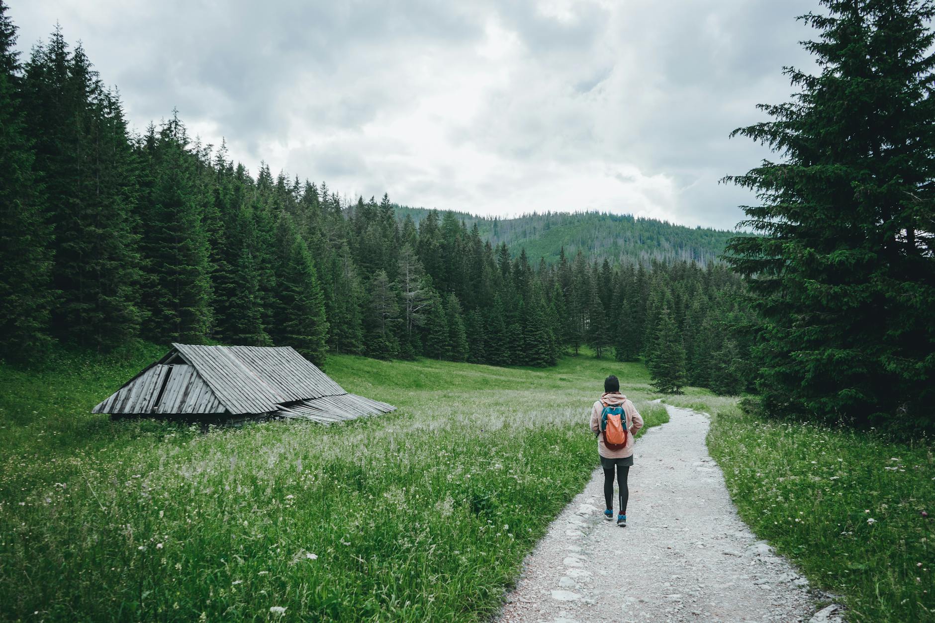Woman hiking on a serene mountain trail in the Tatra Mountains of Poland. Perfect for adventure seekers. - hiking for weight loss