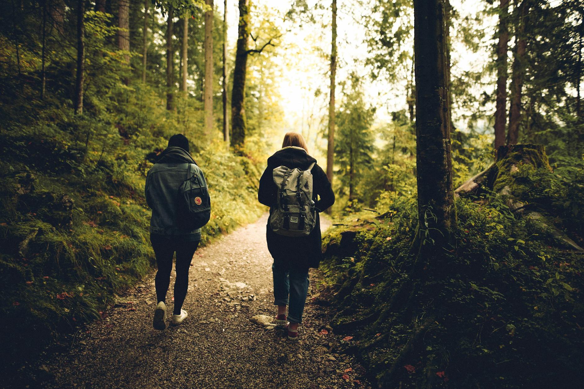Two friends walk along a forest path, enveloped by lush greenery and tall trees. - mindful nature walks
