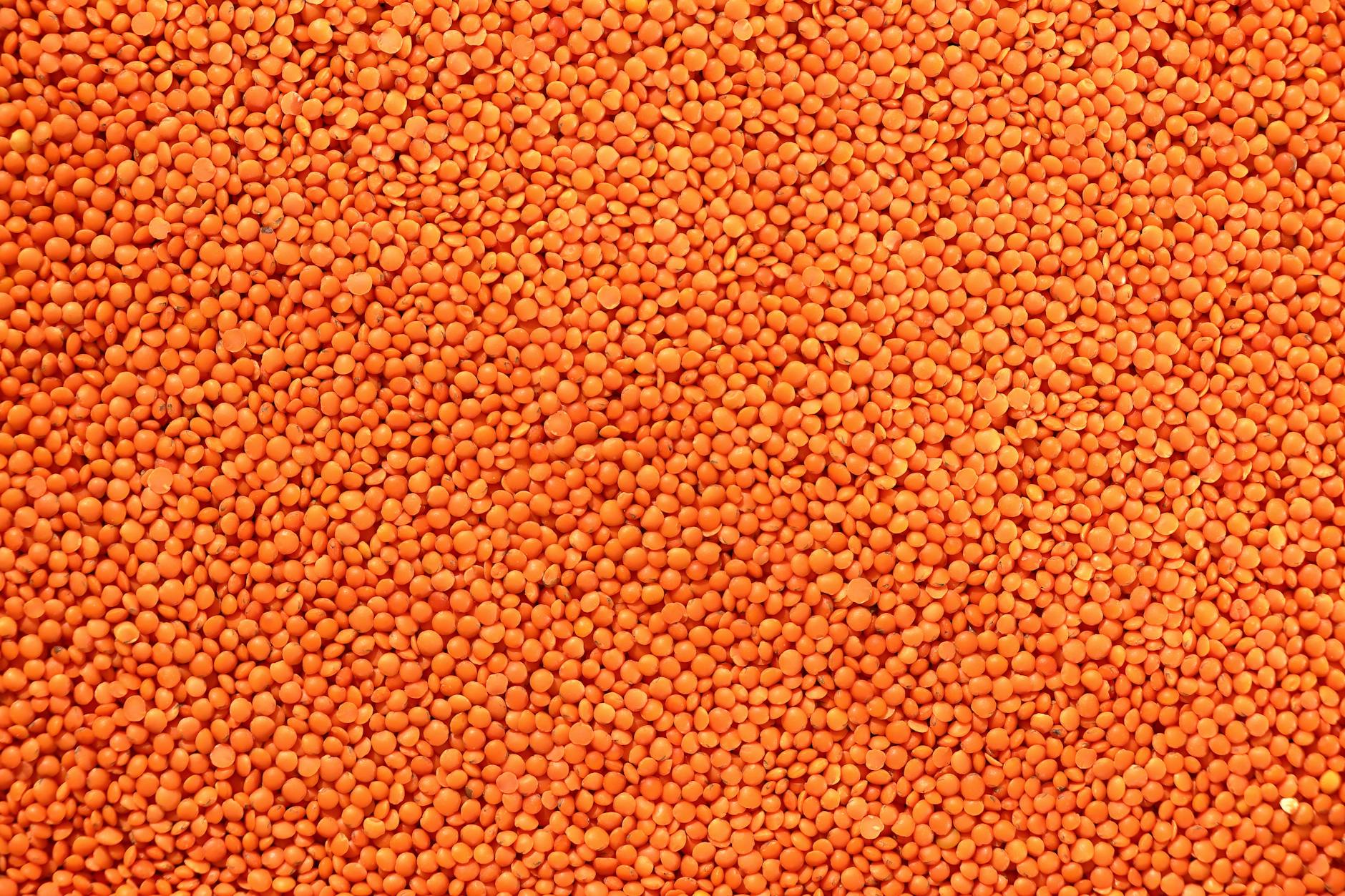 High-resolution macro image of red lentils, focusing on texture and color. - protein fiber foods