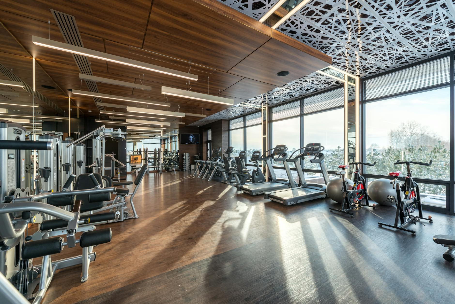 Spacious modern gym with treadmills, exercise bikes, and weights under natural lighting. - sustainable weight loss