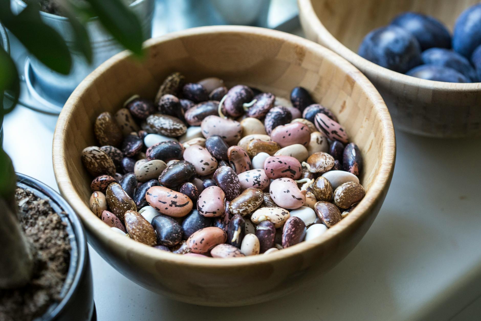A bowl of various colorful beans in a close-up shot on a kitchen table. - vegetarian protein sources
