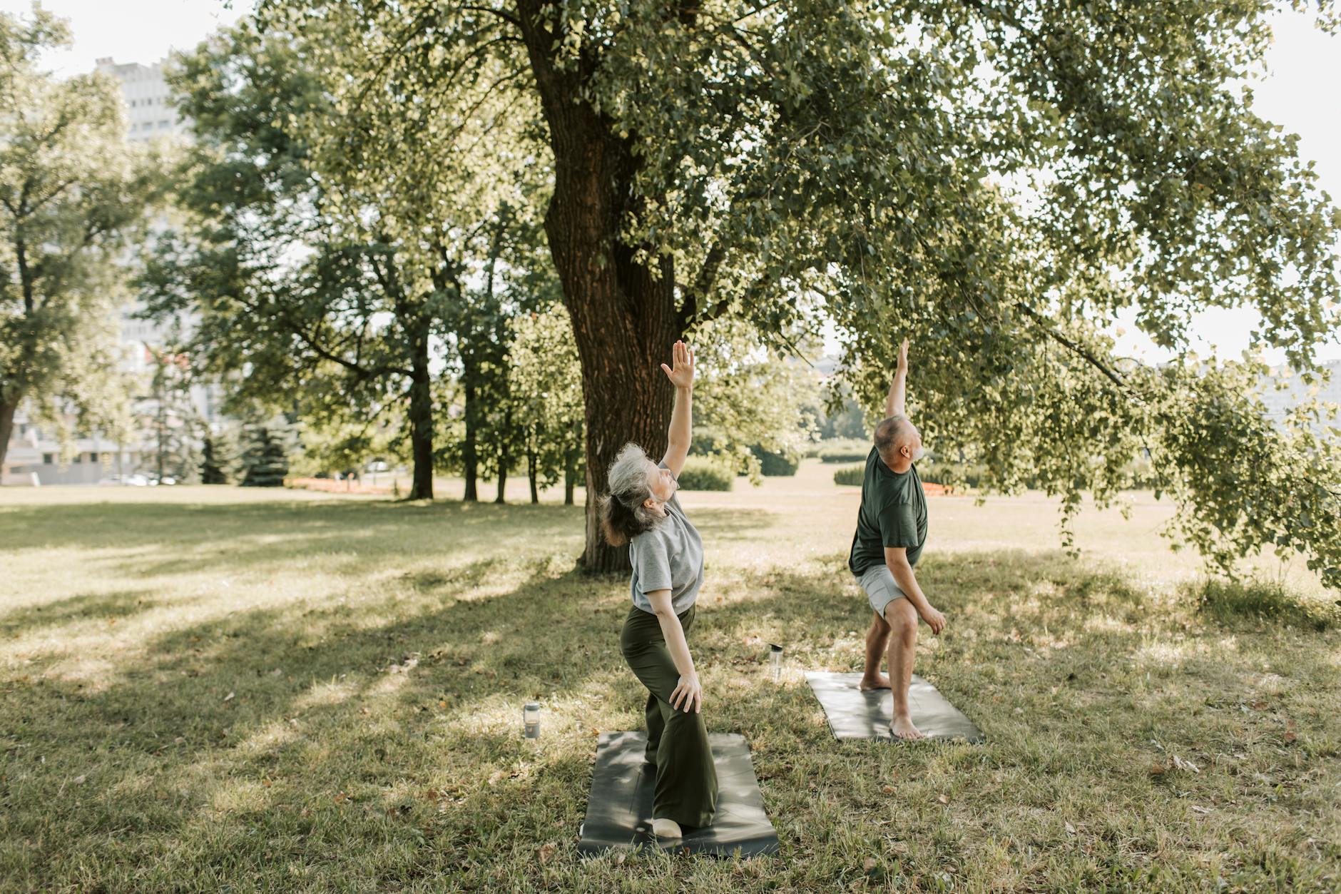 Senior couple enjoying yoga practice outdoors, promoting a healthy and active lifestyle. - balance exercises