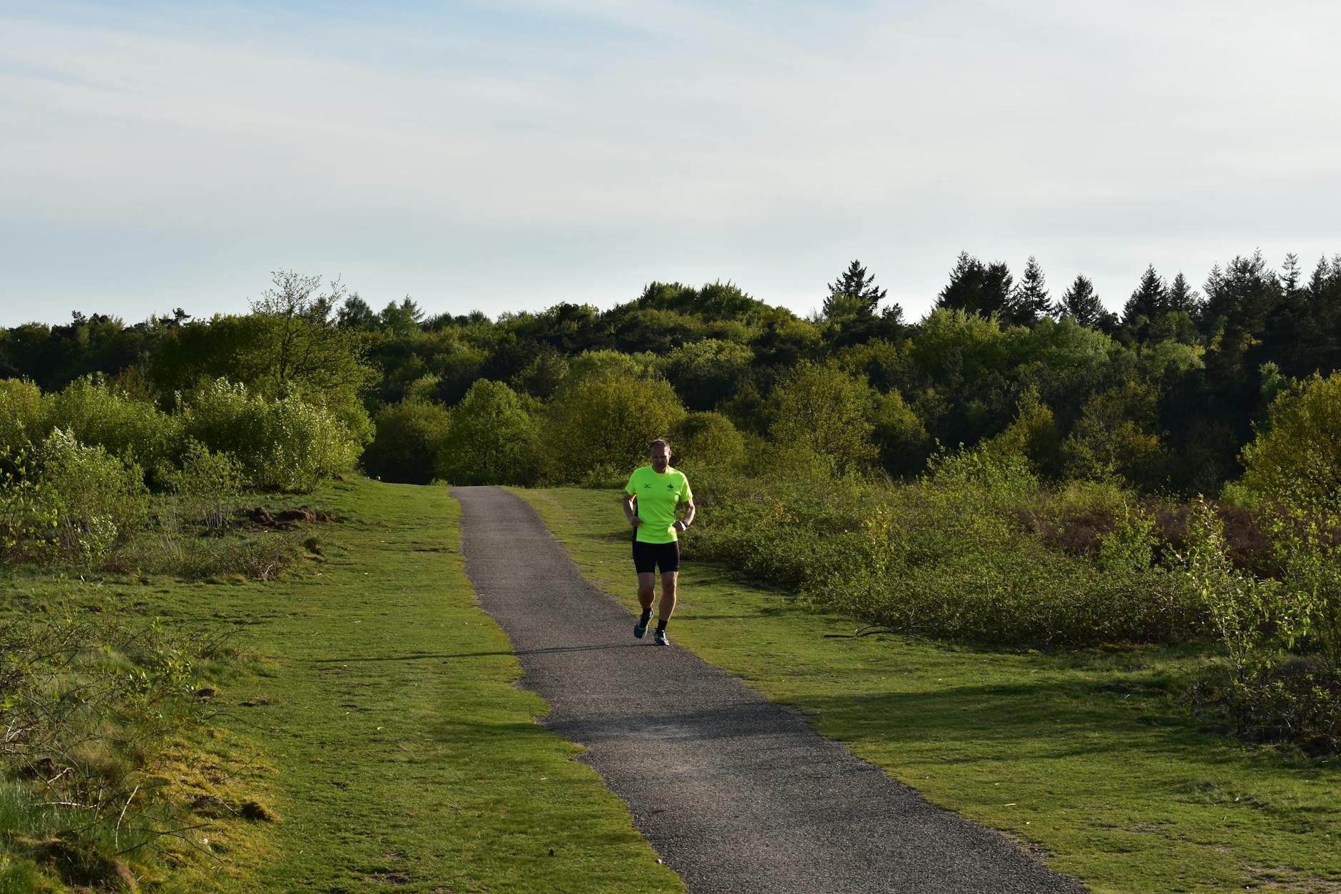 Man jogging on a pathway surrounded by lush greenery in a forest setting under a clear sky. - couch to 5k spring