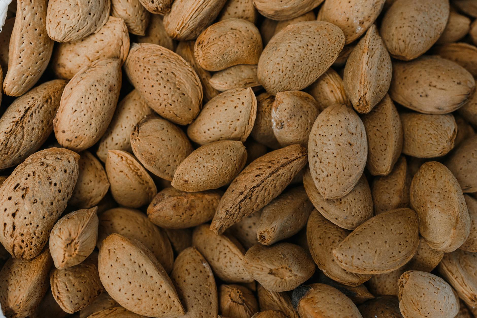 Detailed photograph of raw almonds with shells, highlighting natural texture and organic appeal. - magnesium for women