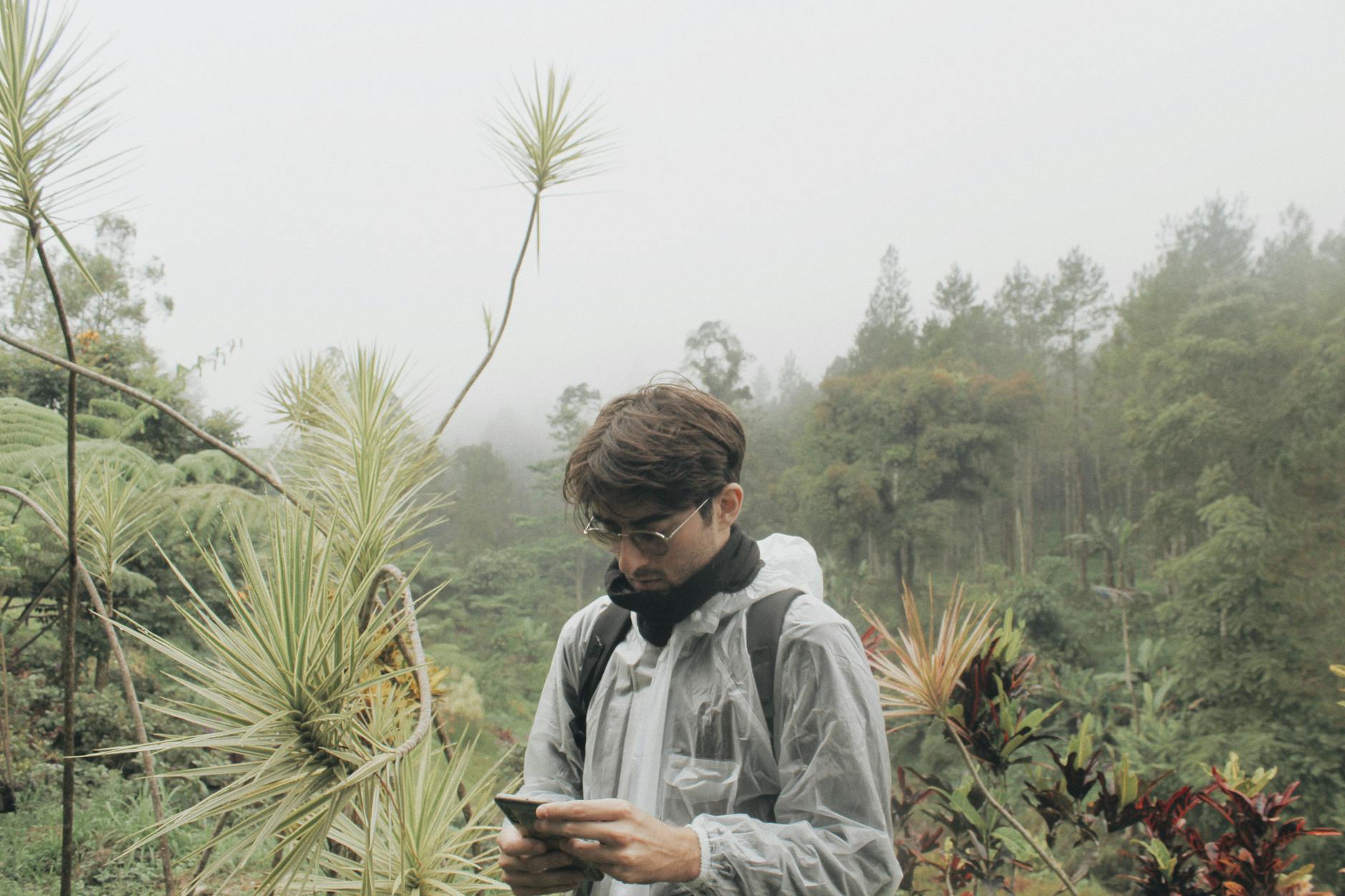 A man in a raincoat using a phone in a misty tropical rainforest setting. - nature digital detox