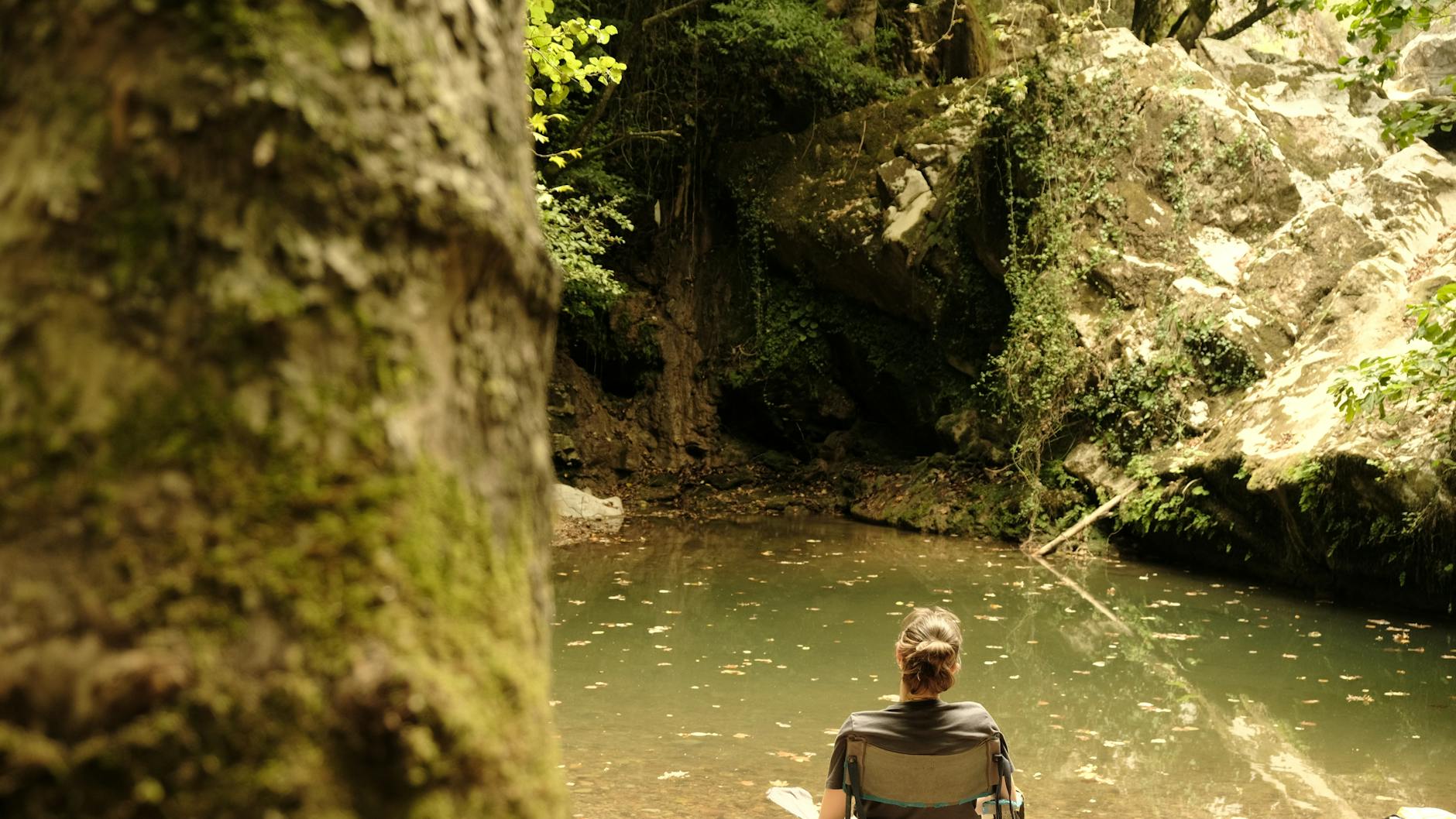 Person seated by a tranquil forest pond, surrounded by lush greenery. - nature digital detox