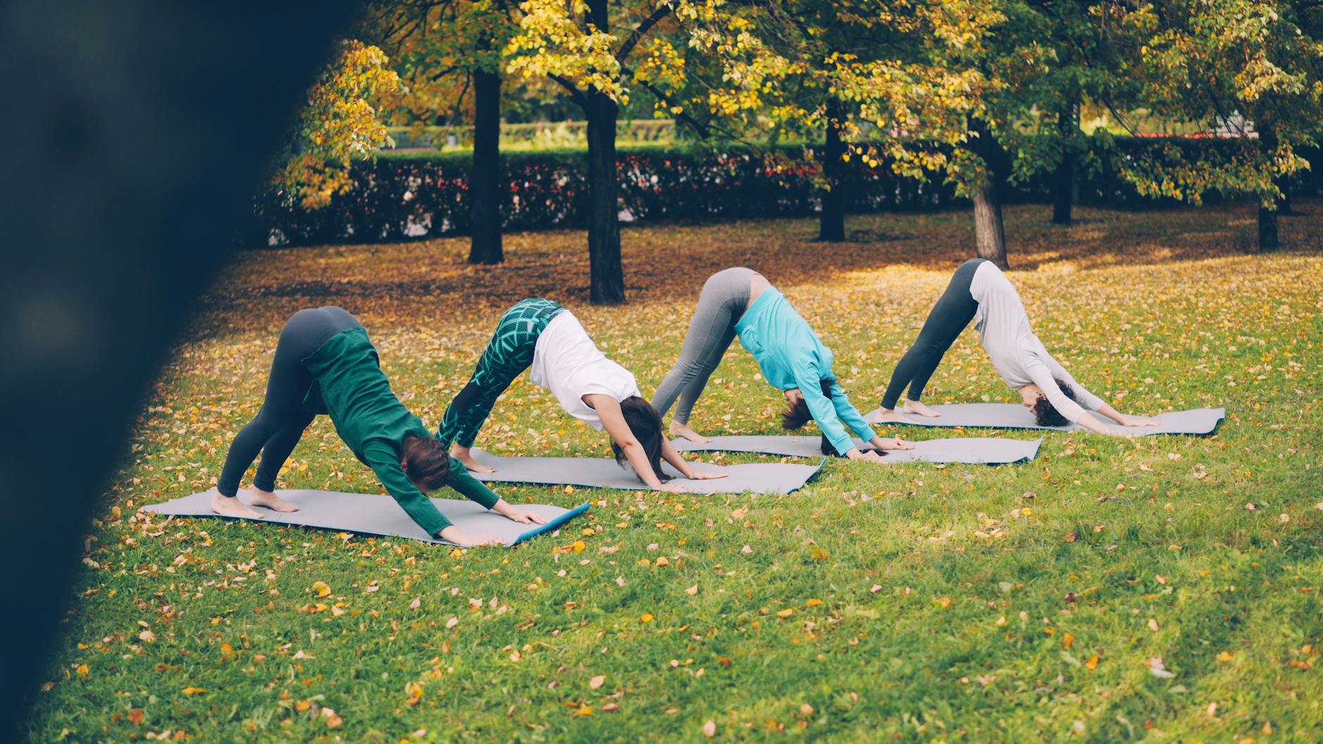 Four women perform yoga outdoors on a sunny autumn day, showcasing fitness and mindfulness. - outdoor yoga spring