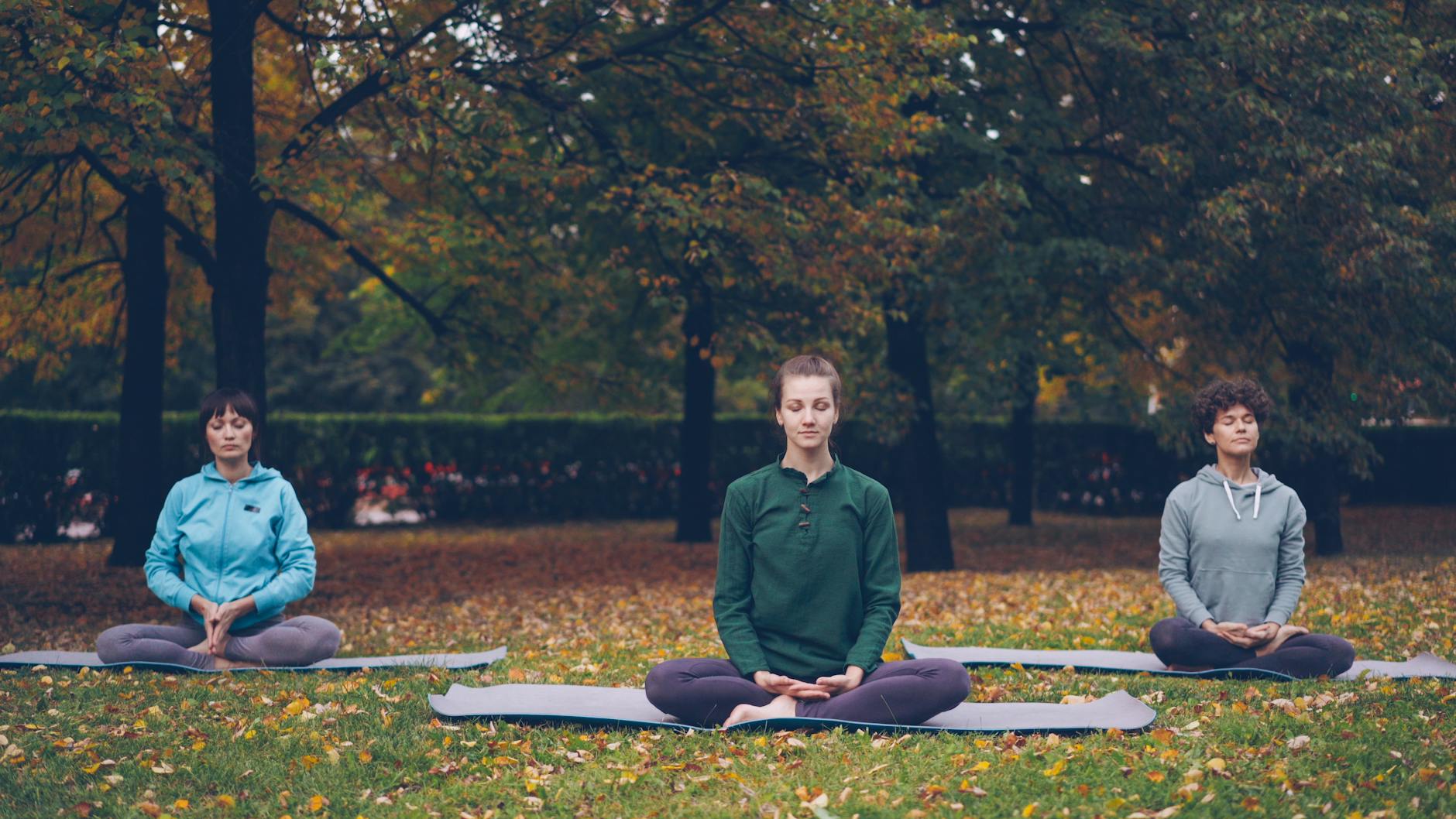 Three people meditate in a serene park during autumn, promoting mindfulness. - seasonal blues exercise