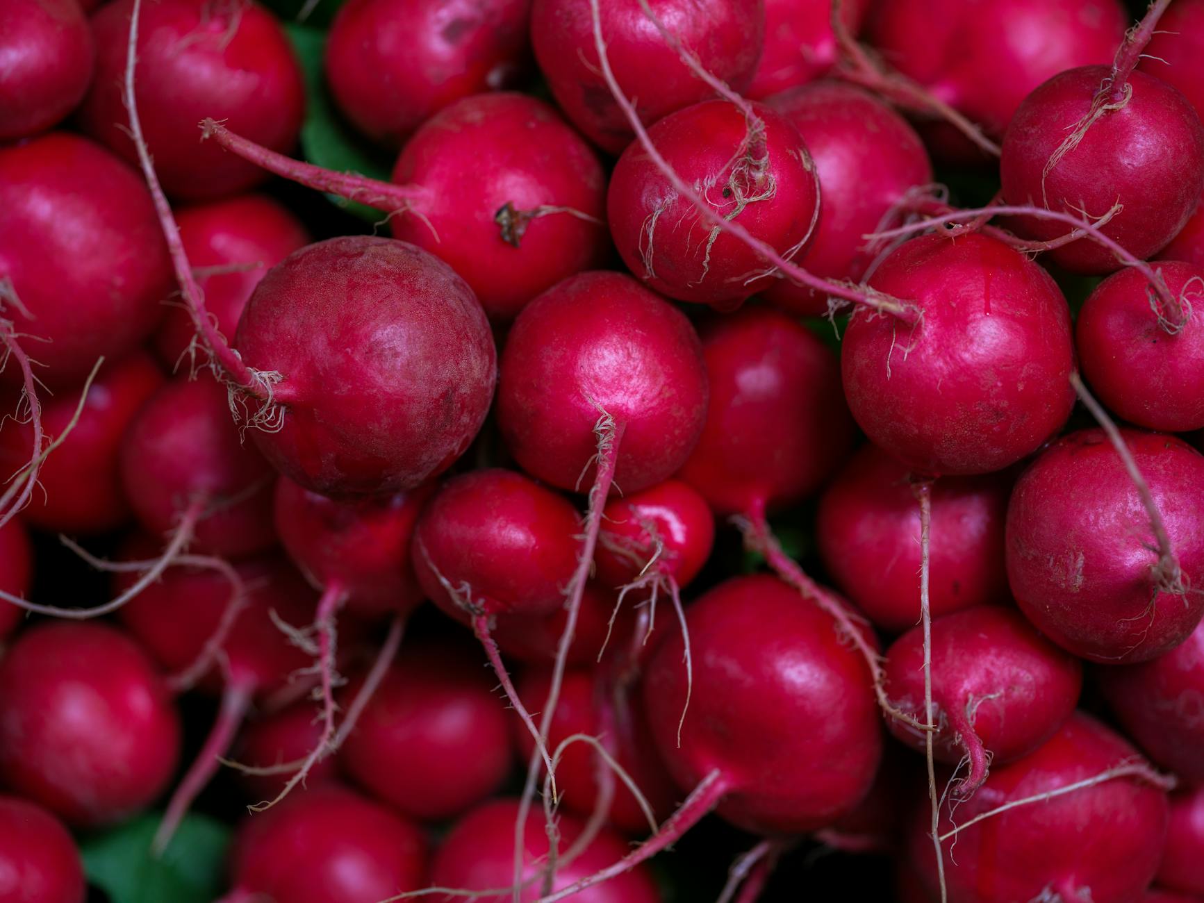 Bright red radishes in market, showcasing fresh organic produce. Ideal for health and nutrition themes. - seasonal produce spring