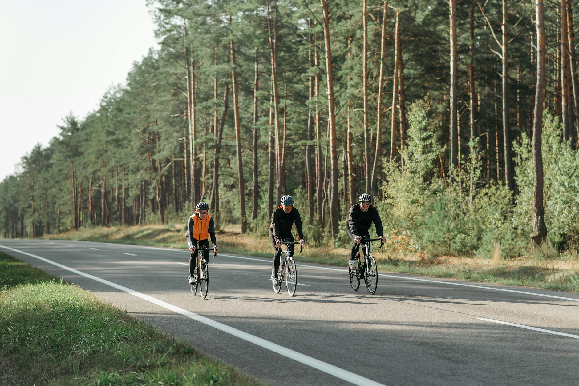 Three cyclists enjoying a ride on a peaceful forest highway during a sunny day. - spring cycling routes
