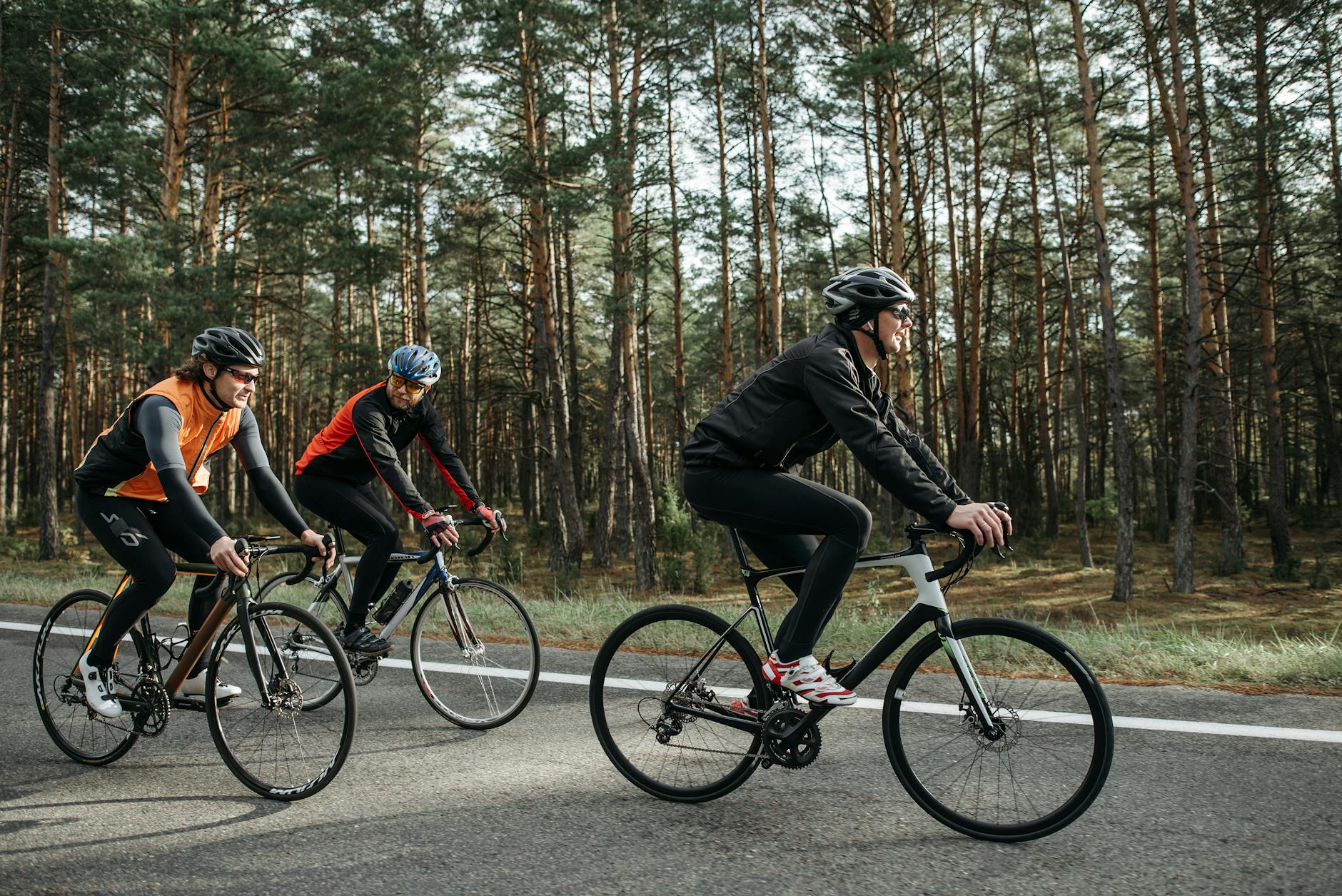 Three cyclists enjoying a ride through a scenic forest on a sunny day. - spring cycling routes