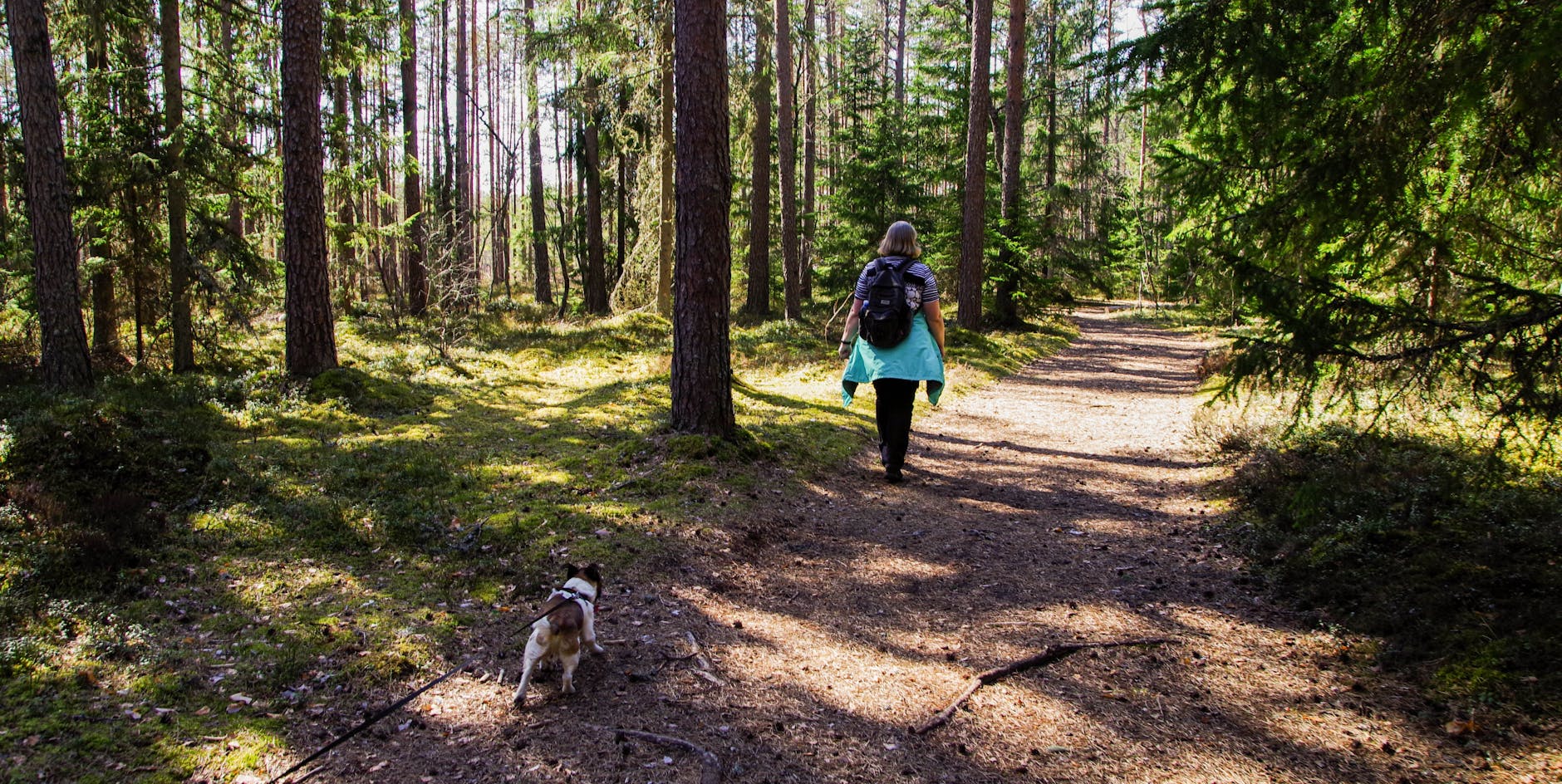 A woman enjoys a walk with her dog on a peaceful forest trail during spring. - spring hiking for beginners