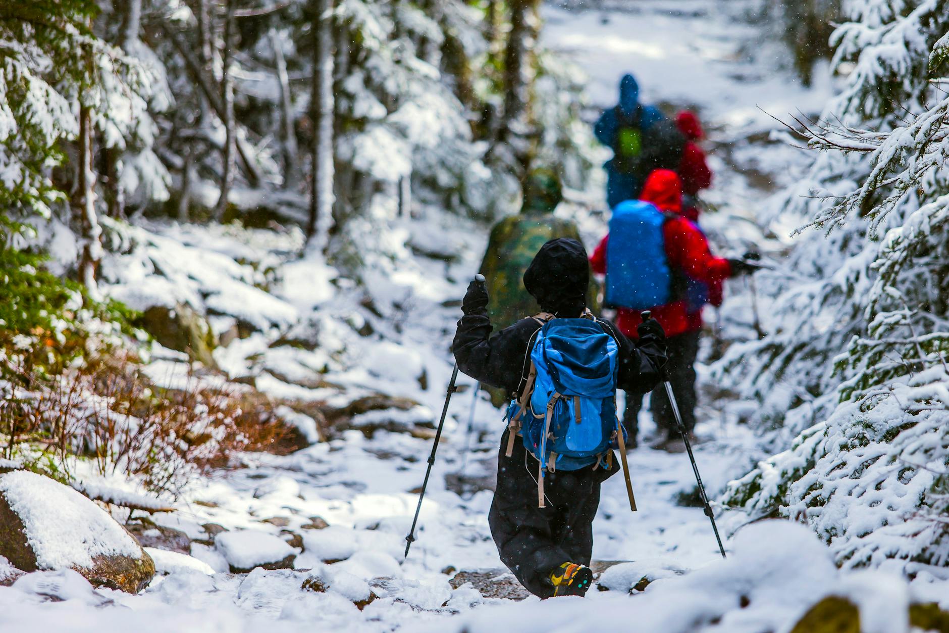 A group of hikers trekking through a snowy forest trail on a winter day, equipped with backpacks and hiking sticks. - spring hiking gear