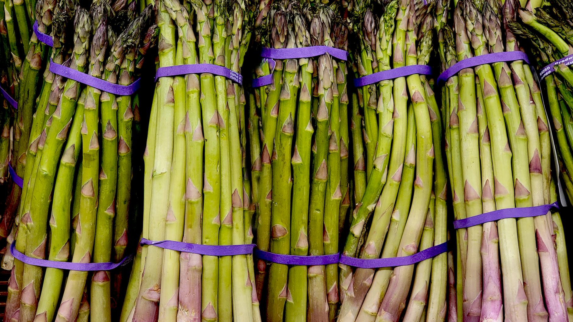 Close-up of fresh green asparagus bundles tied with purple bands. - spring produce guide