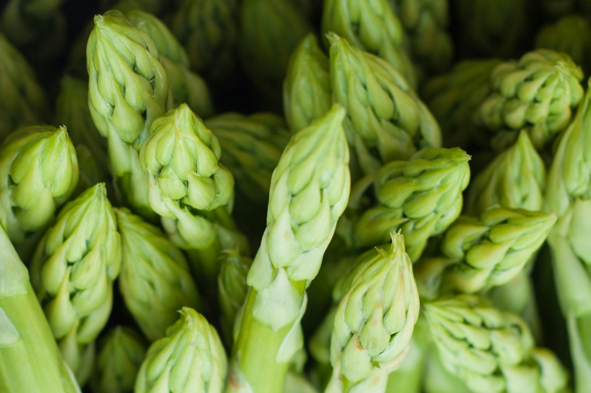 A vibrant close-up of fresh green asparagus spears capturing natural texture and freshness. - spring produce health