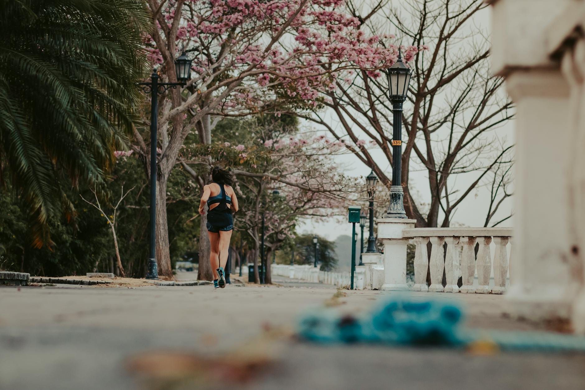A woman jogs through a picturesque park lined with blooming spring trees and vintage lamps. - spring running for beginners
