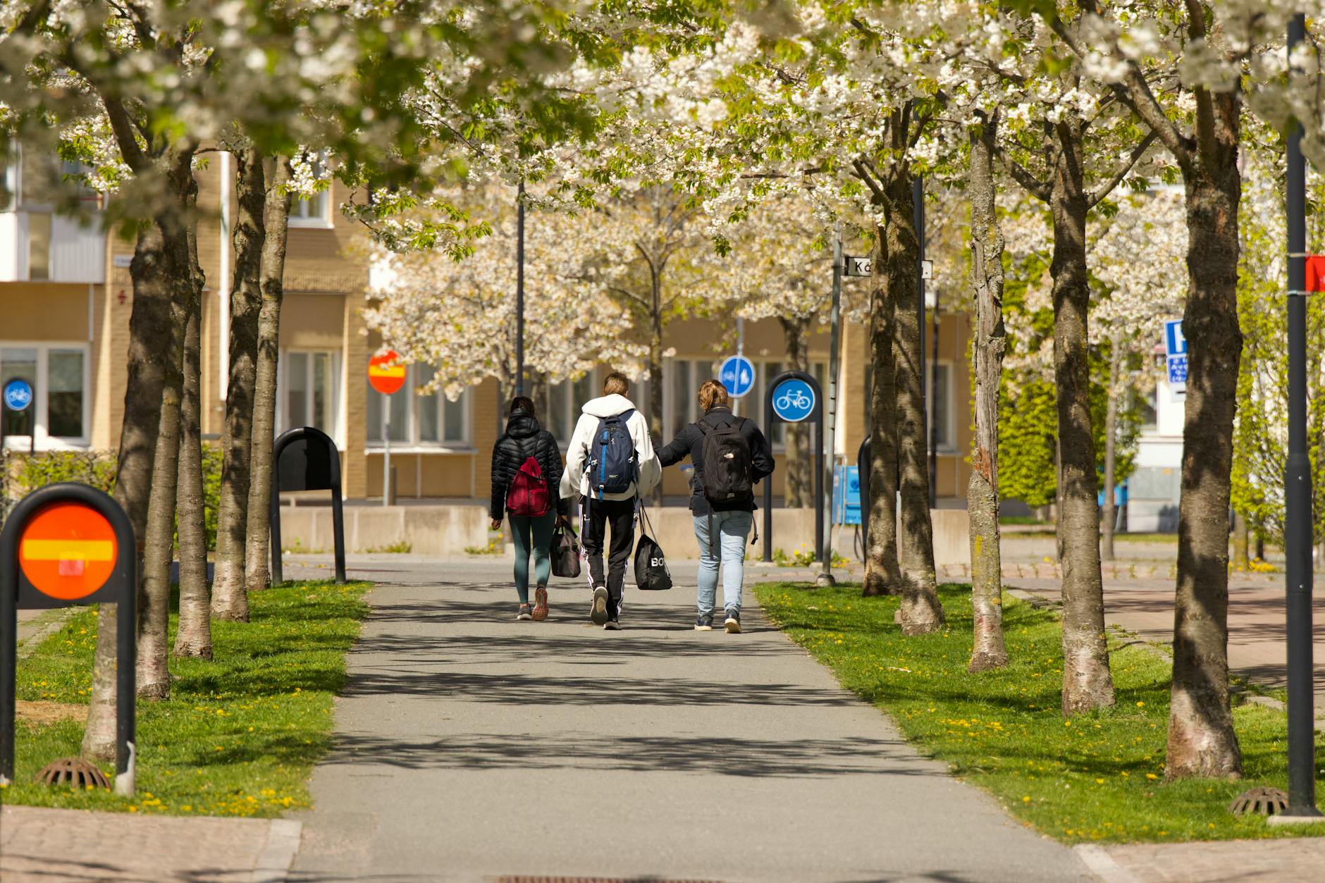 People walking under blooming trees on a spring day in Jönköping. - spring walking plan