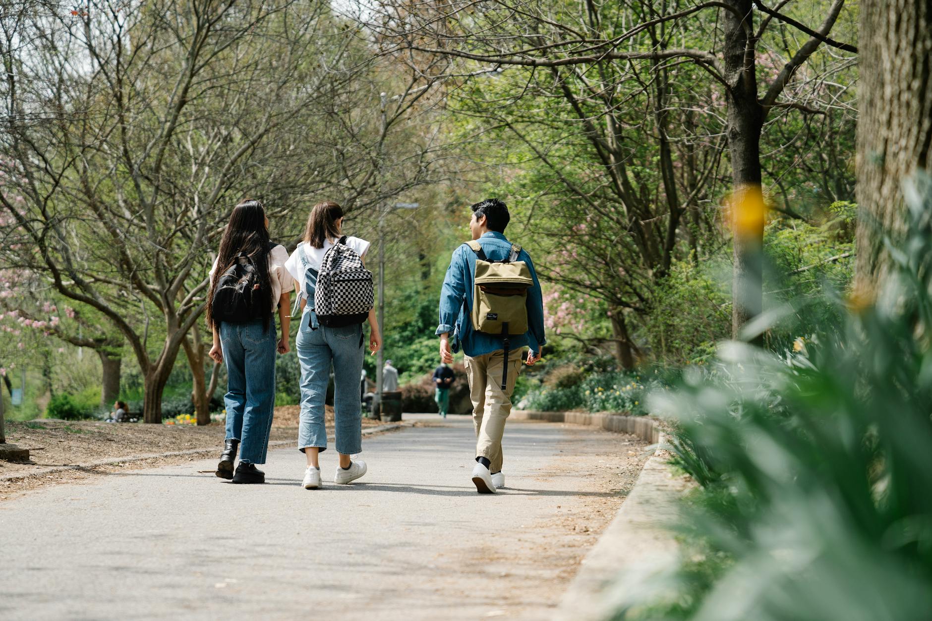 Three friends walking through a lush park path in springtime. - spring walking plan