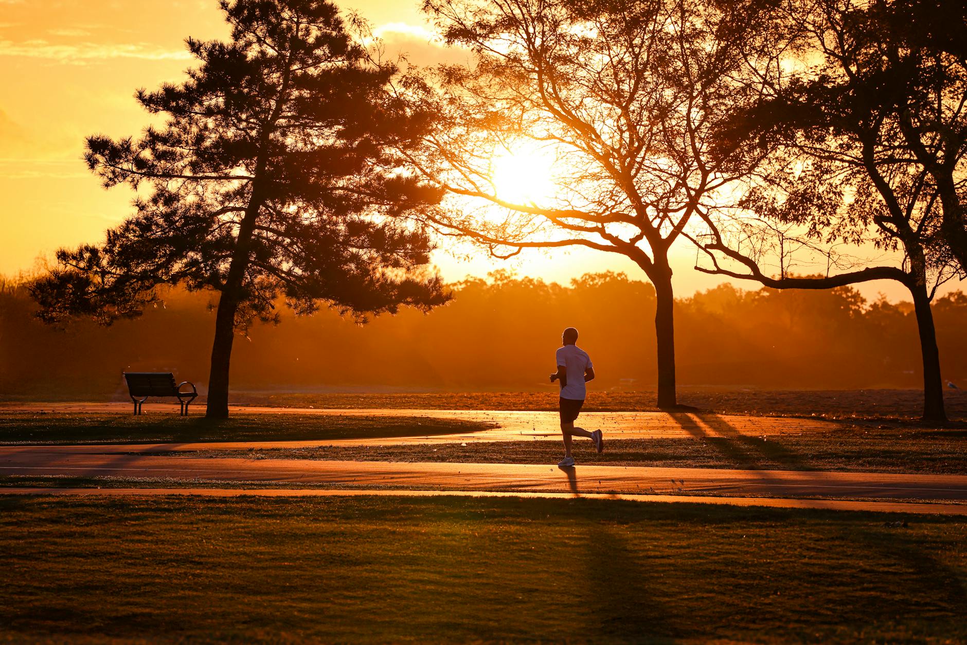 Silhouette of a runner at sunrise in Stamford's serene park setting. - spring wellness tips