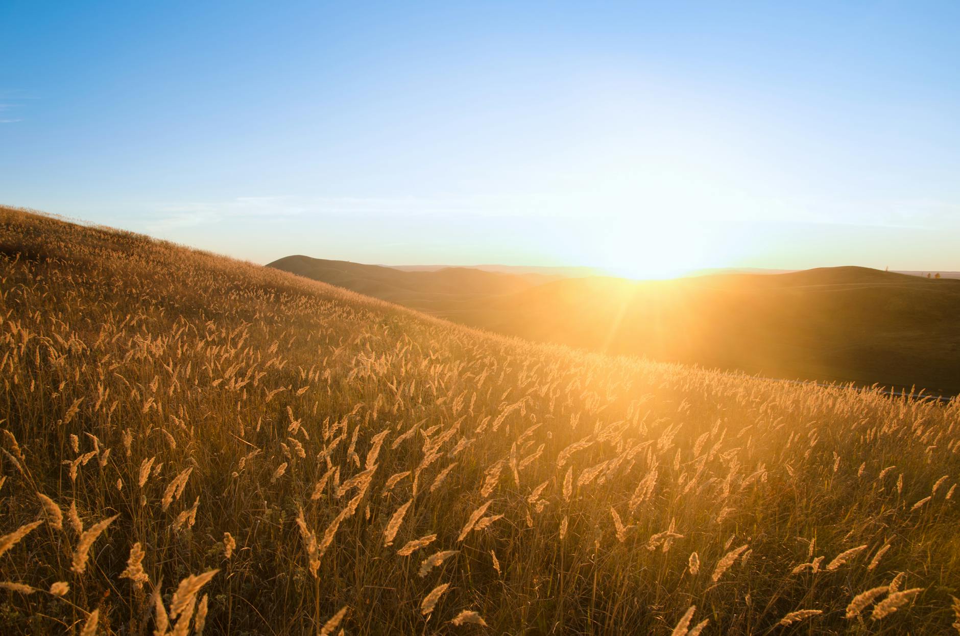 Breathtaking sunrise over grassy fields in Altai, Russia, with golden light and serene landscape. - sunlight weight loss