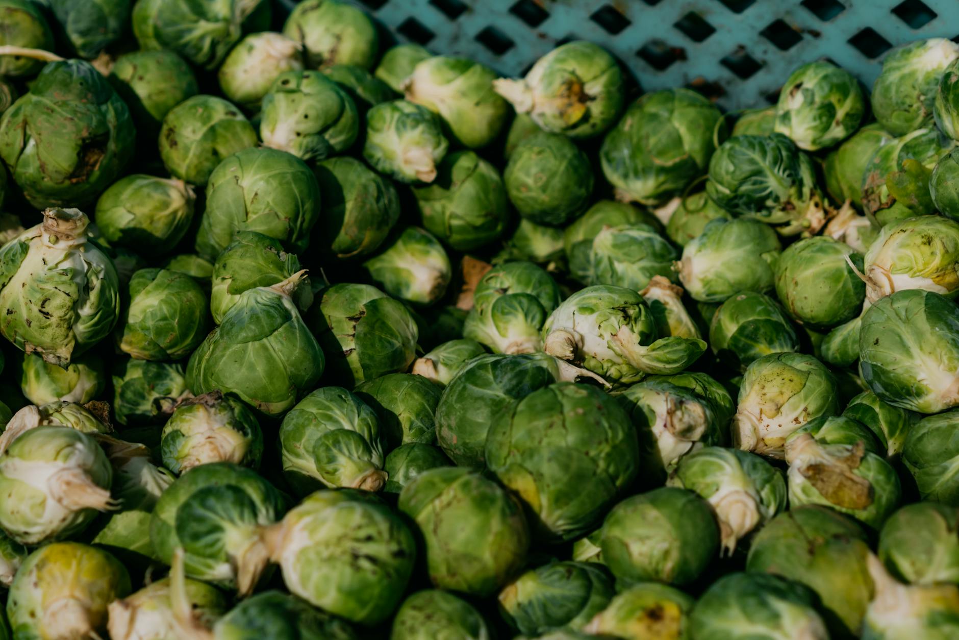 High-quality image of fresh Brussels sprouts in abundance, perfectly capturing their vibrant green color. - winter produce reset
