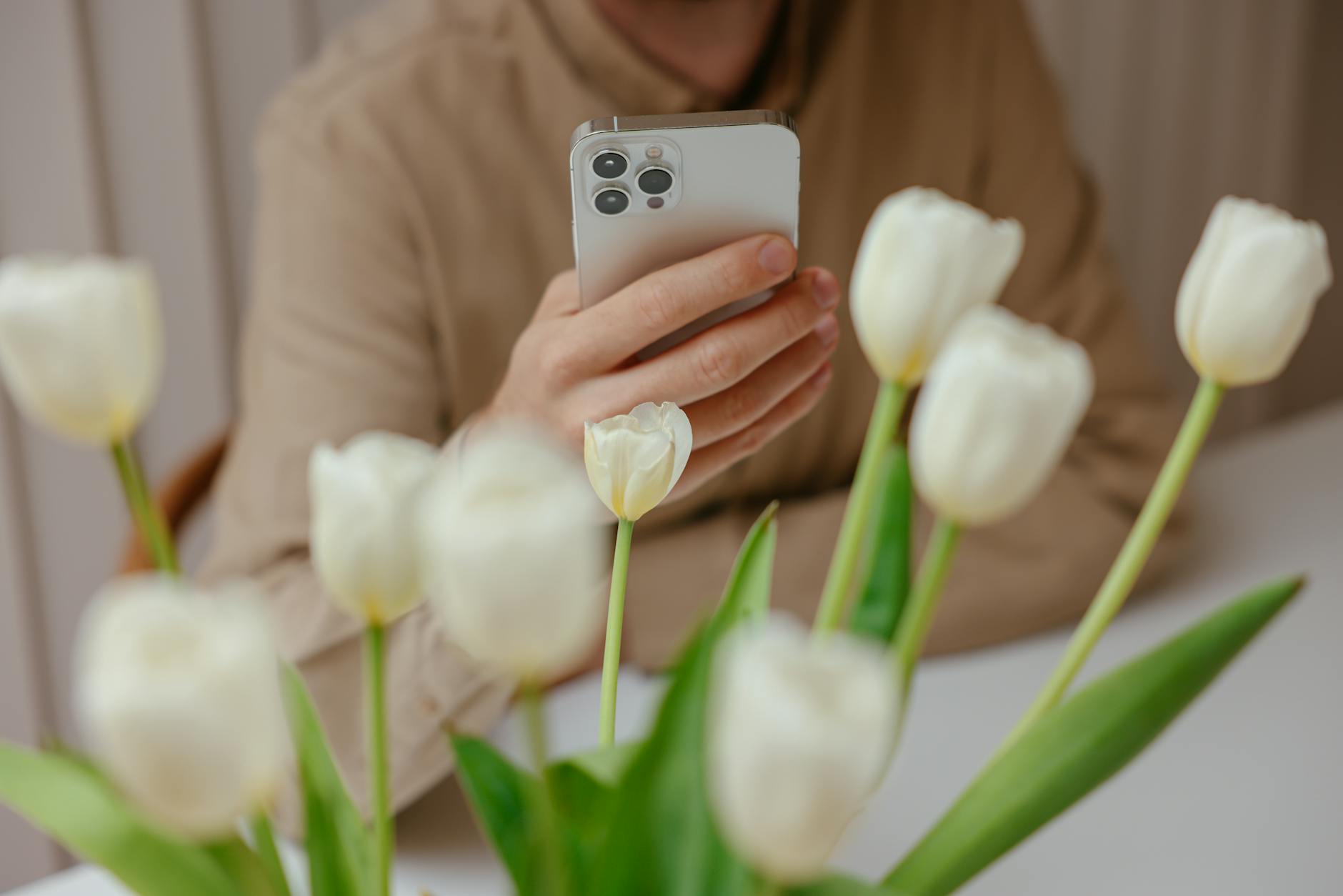 Adult holding smartphone behind white tulips, capturing a serene indoor moment. - digital declutter spring