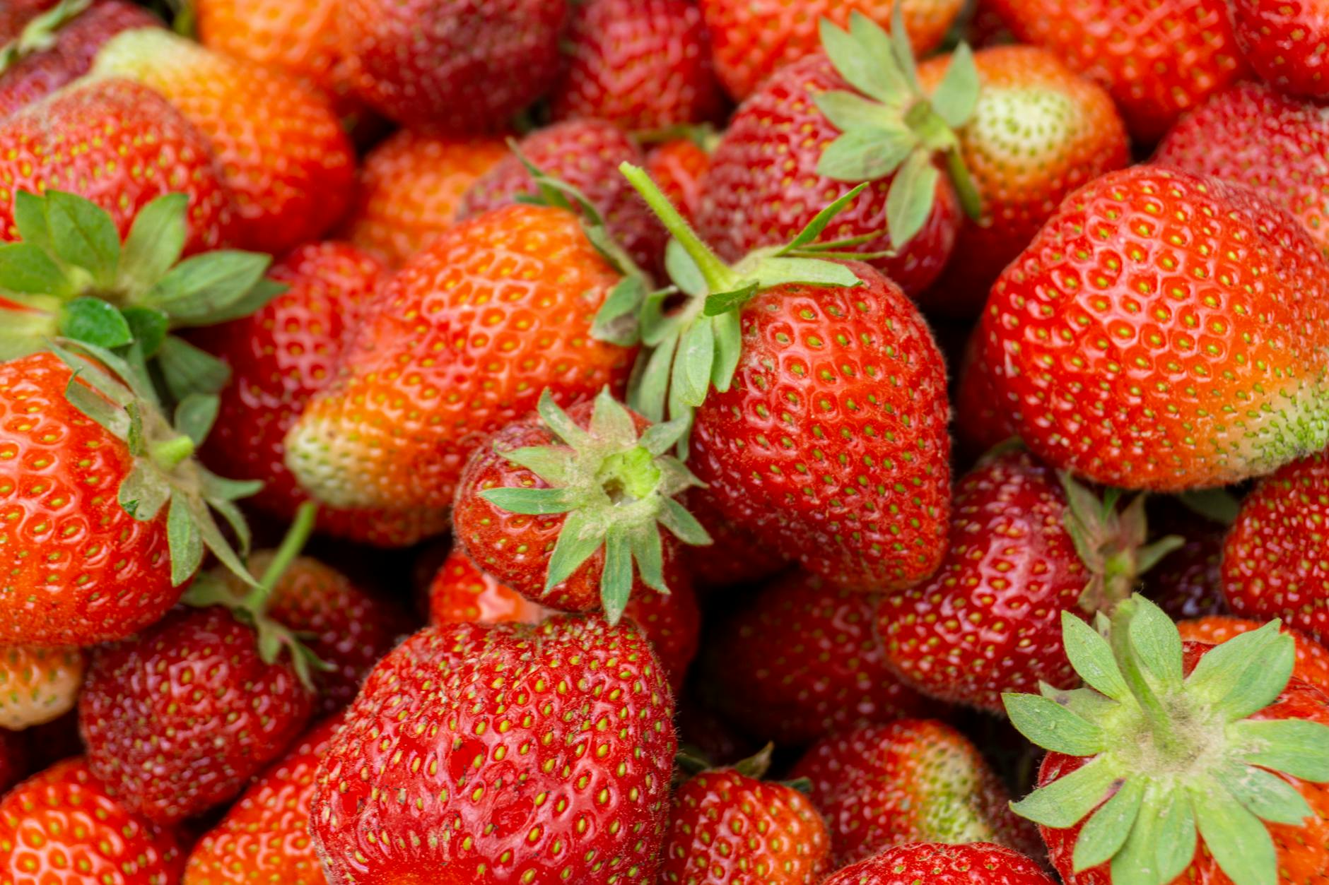 A vibrant close-up of ripe strawberries showcasing their natural texture and freshness. - glowing skin foods
