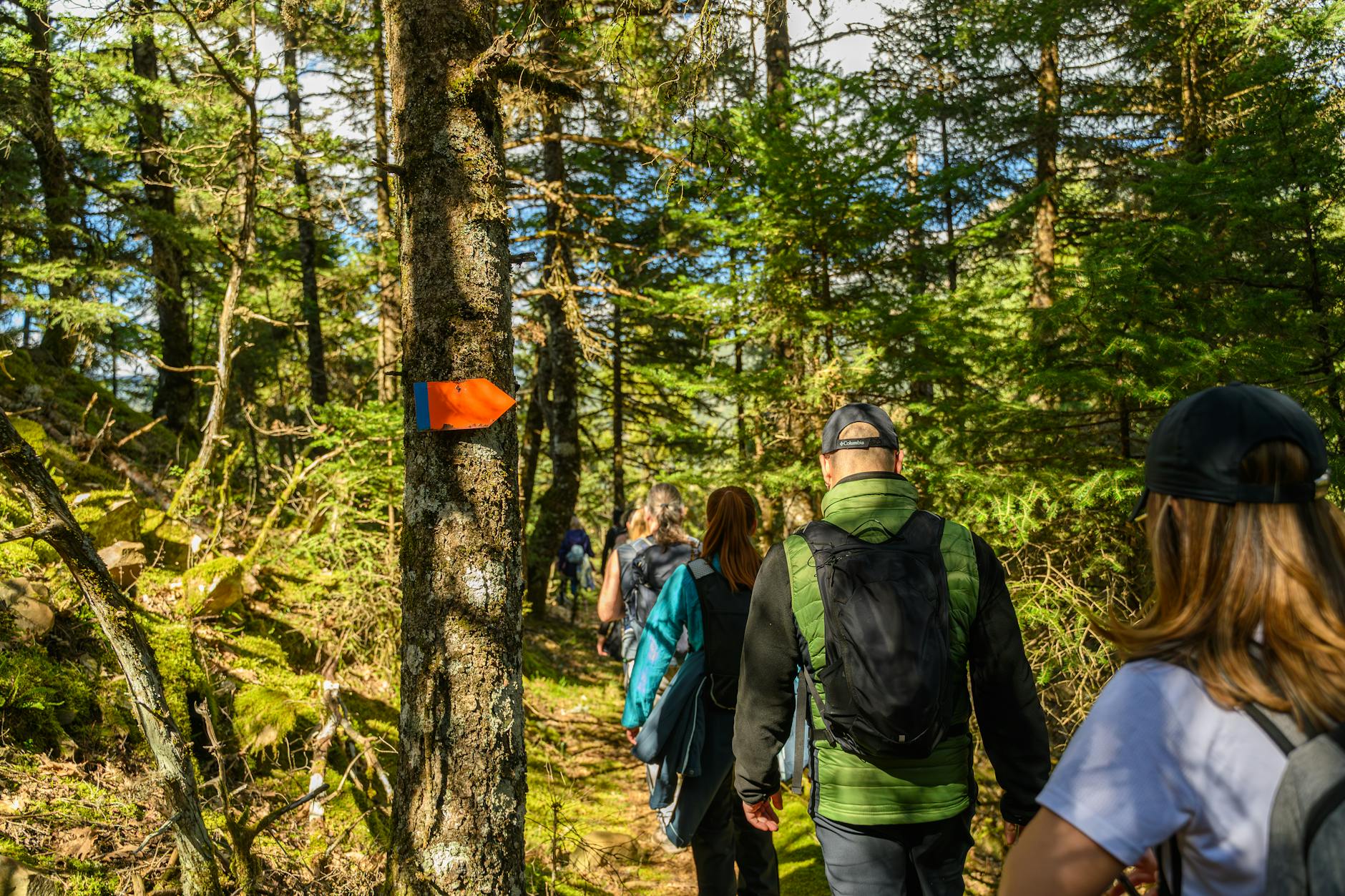 Hikers exploring a sunlit forest trail marked with an orange trail sign, surrounded by lush greenery. - hiking trail snacks