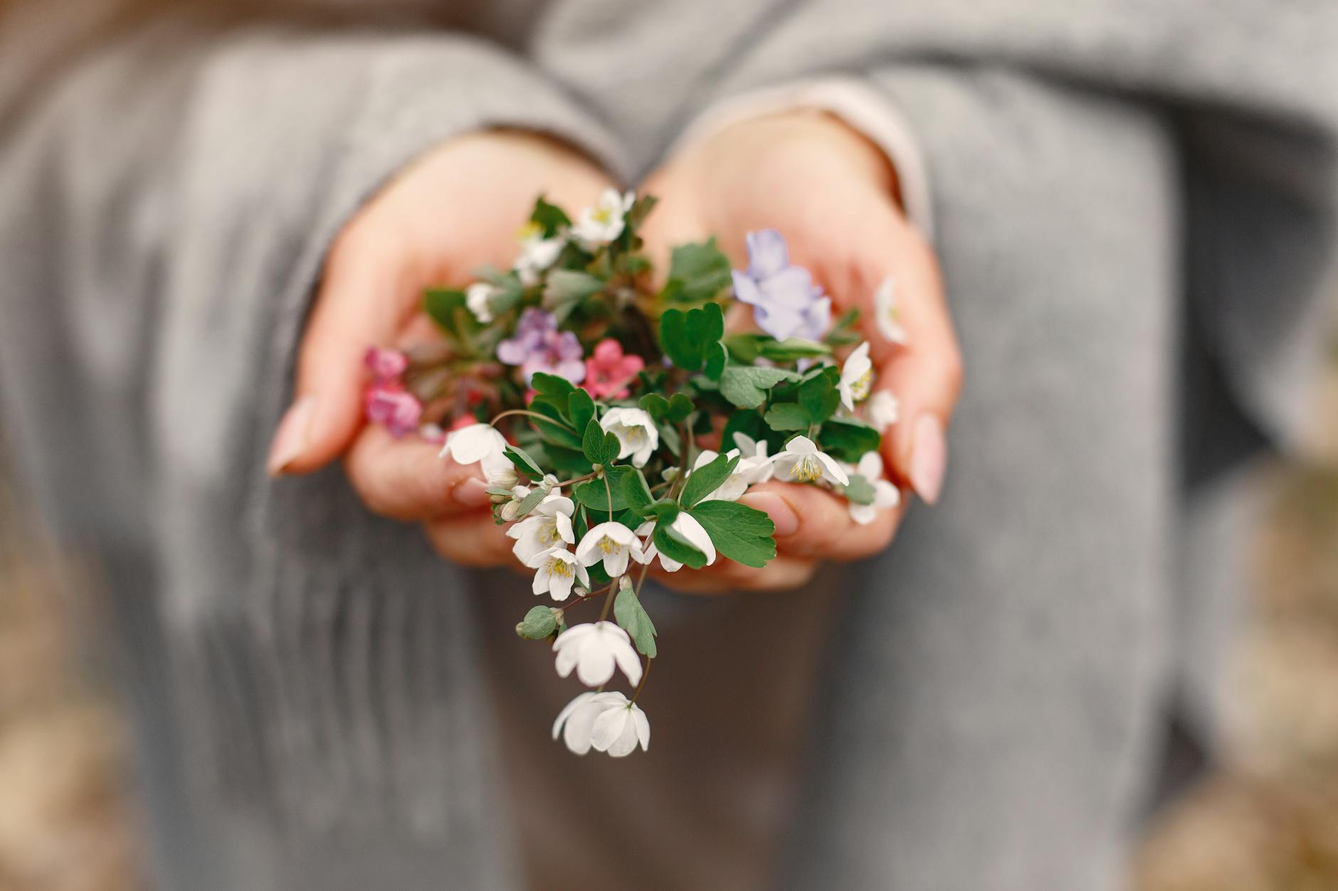 Gentle hands cradle a colorful mix of wildflowers, captured in soft focus outdoors. - hormone balance spring