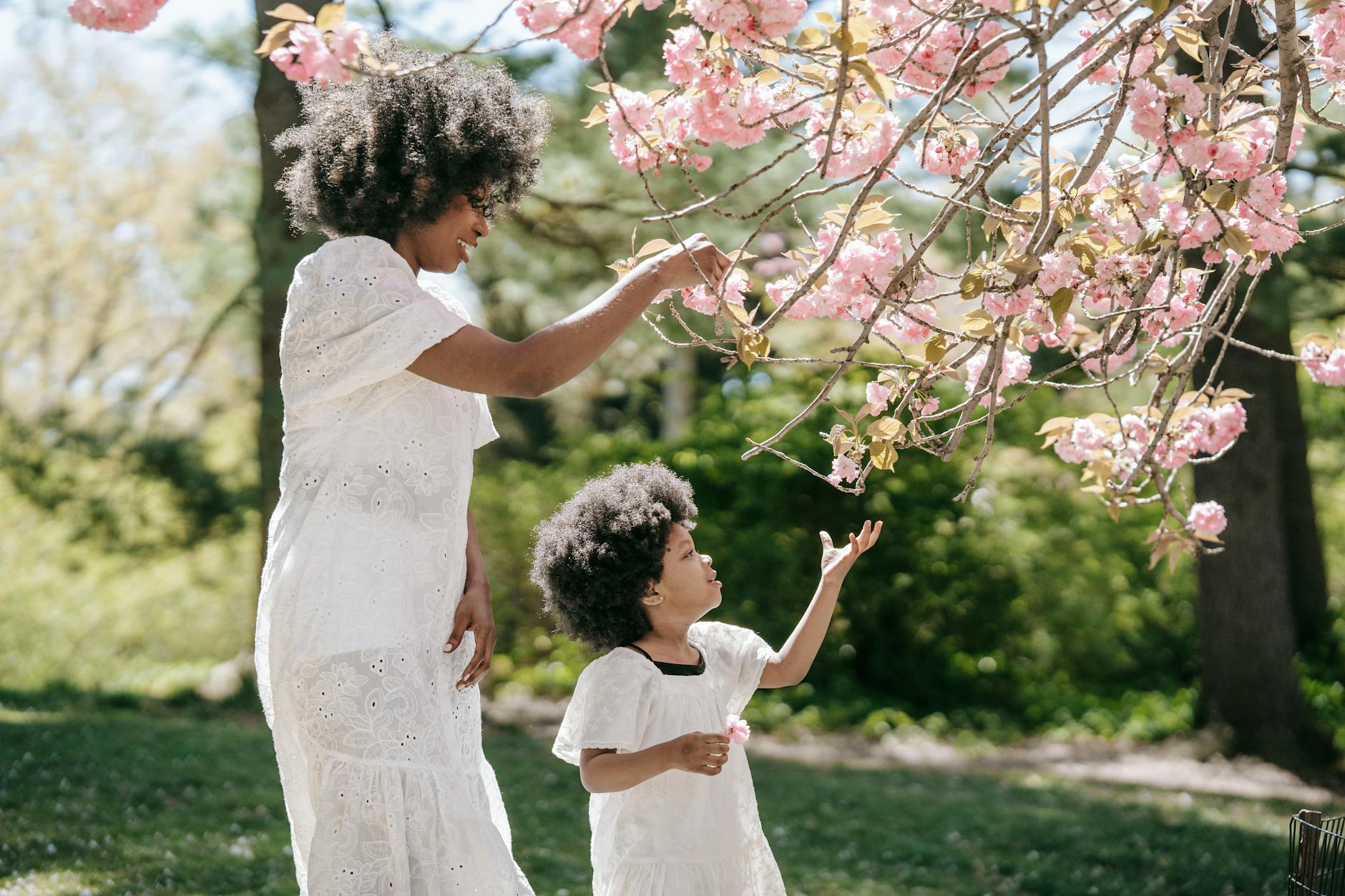 A mother and child in white dresses admire blooming cherry blossoms on a sunny day. - outdoor spring activities