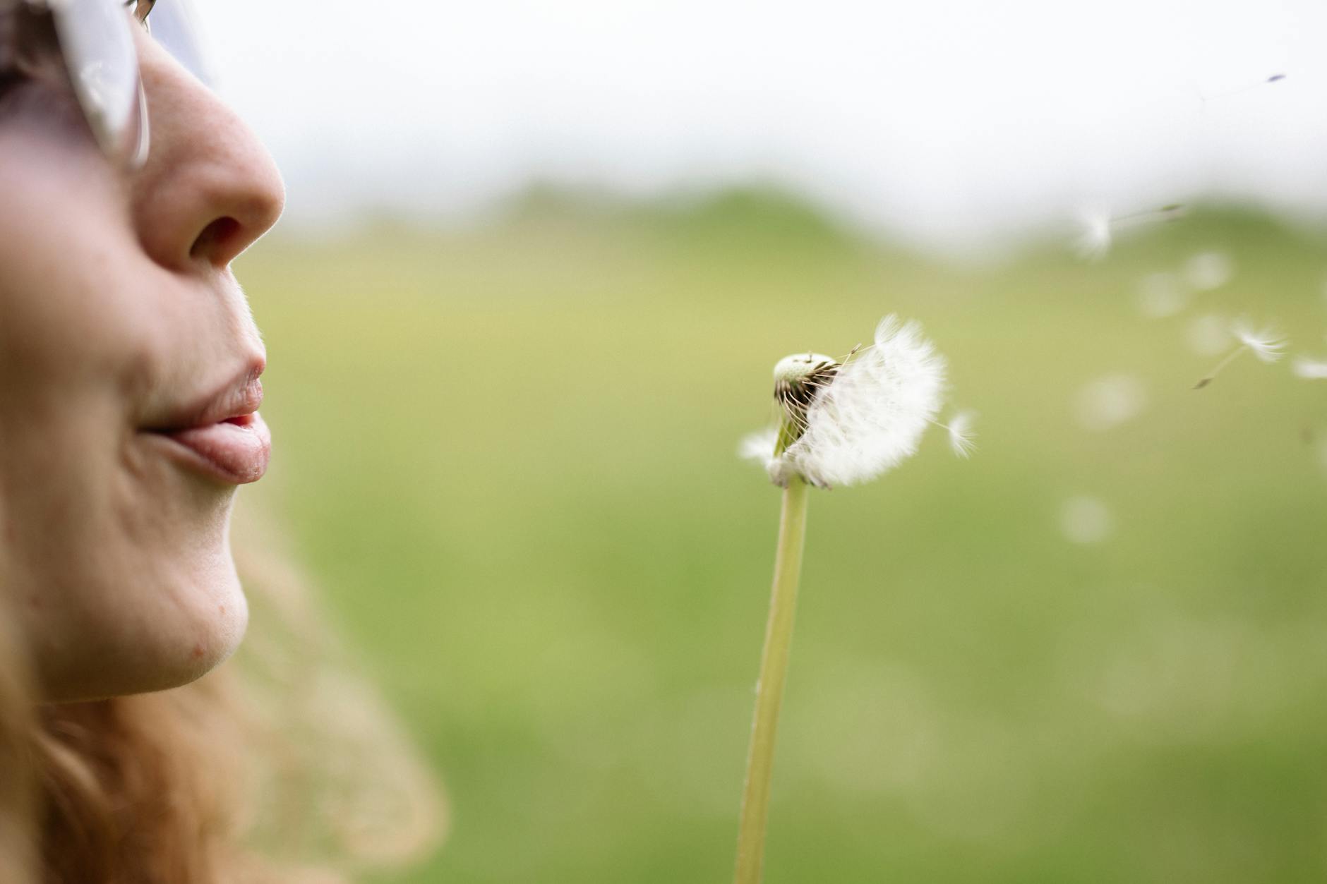 A close-up of a woman blowing dandelion seeds outdoors in spring. - spring allergy triggers