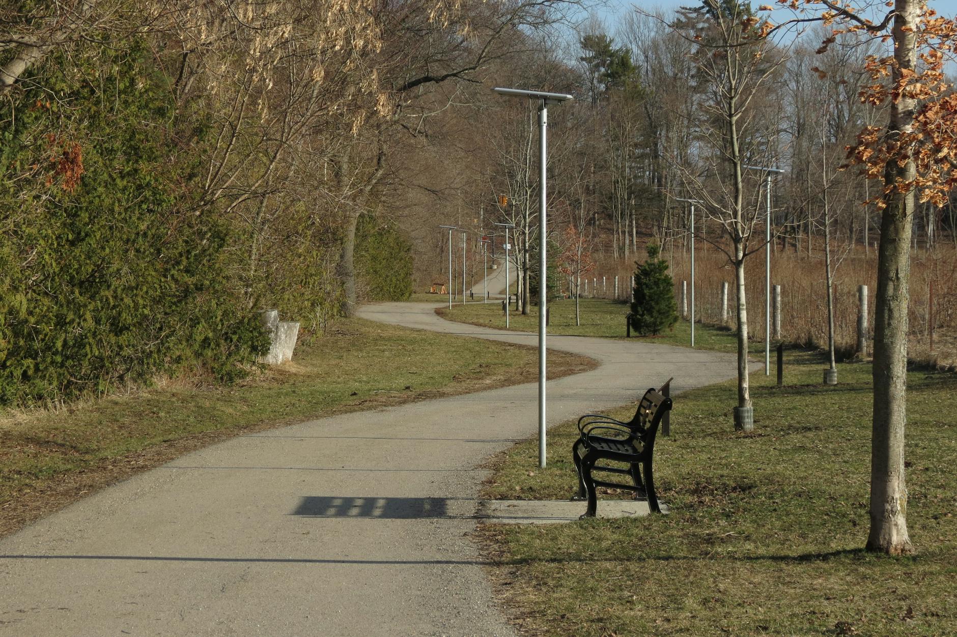 A peaceful walking trail with a bench in a Canadian park during spring. - spring exercise daylight