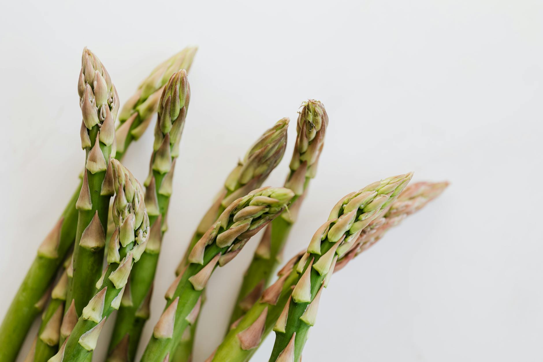 Close up bunch of fresh ripe asparagus in front of white smooth background - spring mood foods