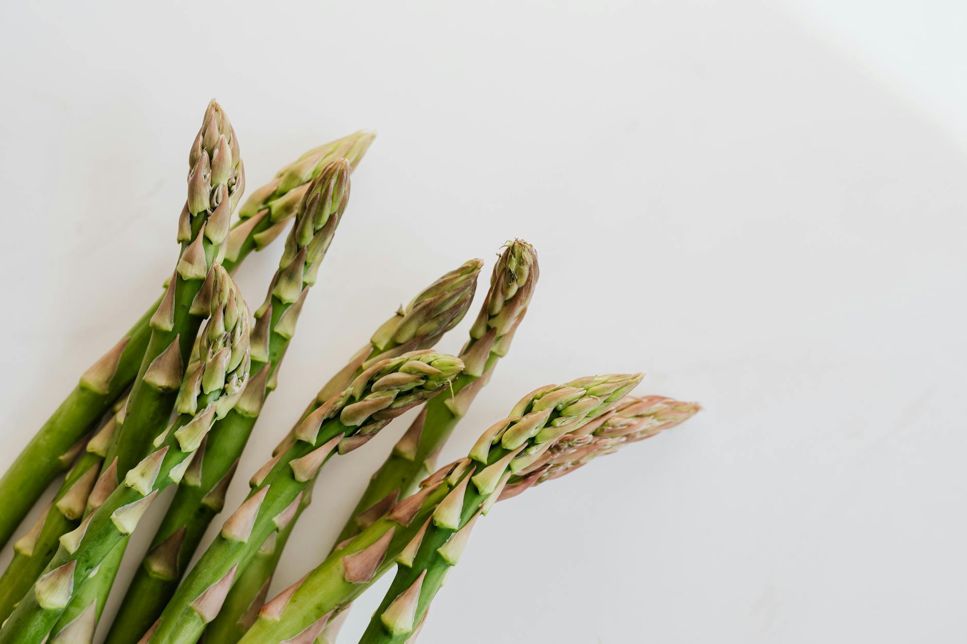 Close up bunch of fresh ripe juicy green asparagus pods with white background - spring mood foods