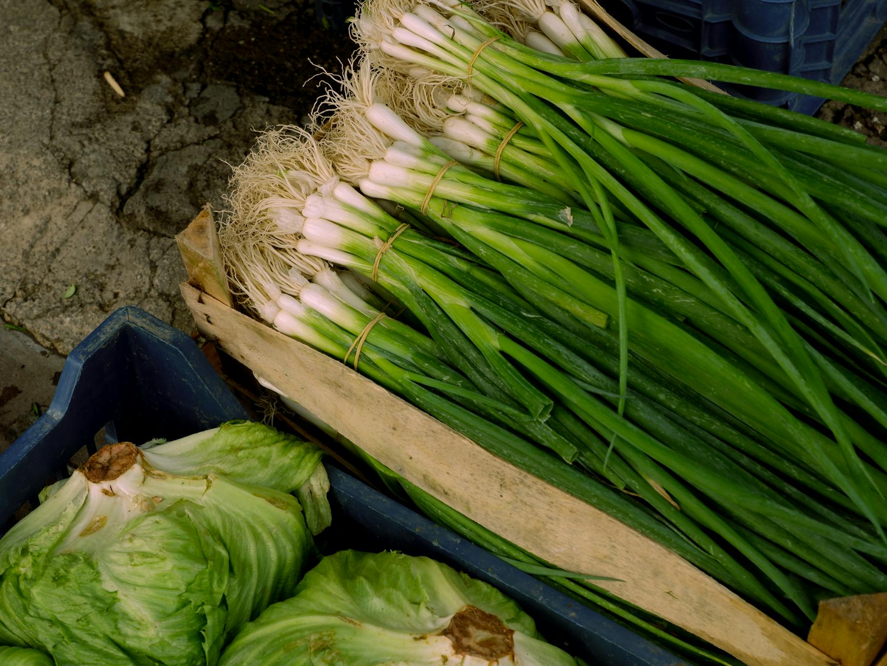 Bunches of green onions and cabbages in crates at a market. High-angle view. - spring produce recipes