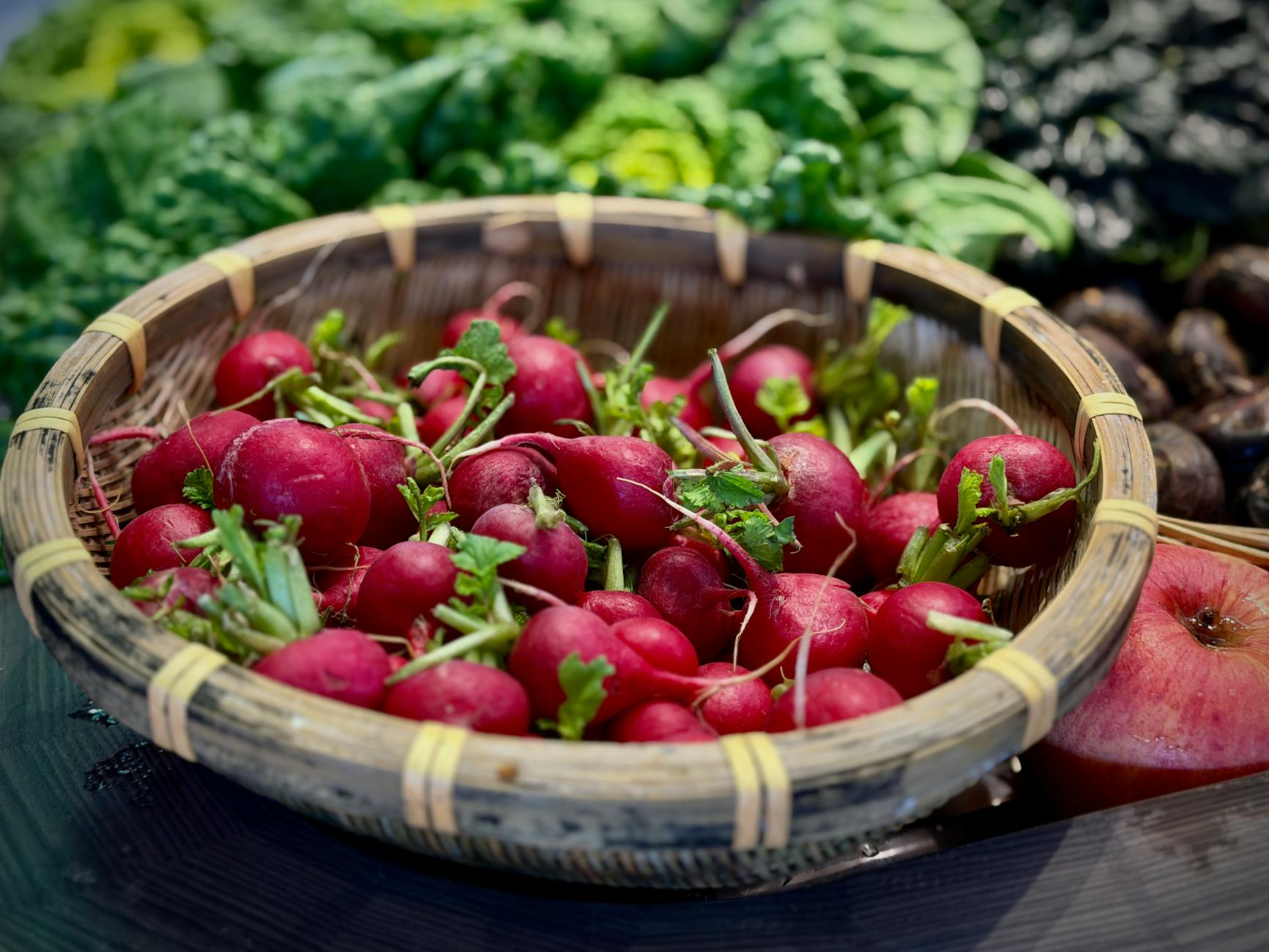 Vibrant red radishes in a rustic bamboo basket surrounded by leafy greens, conveying a fresh farm-to-table feel. - spring produce recipes